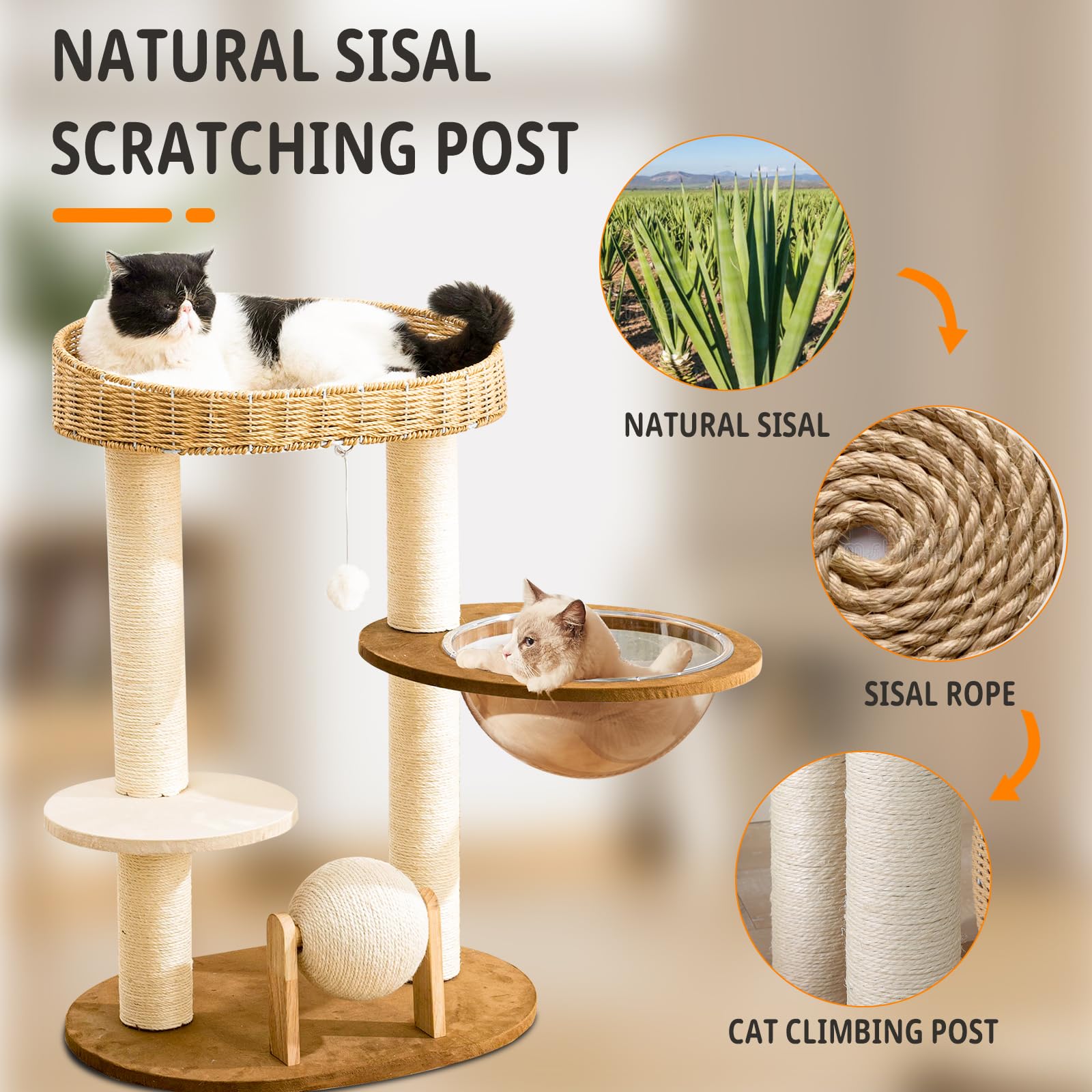 Modern Cat Tree for Indoor Cats, Wood Cat Tree with Natural Sisal-Covered Scratching Posts, Unique Cat Furniture Activity Center