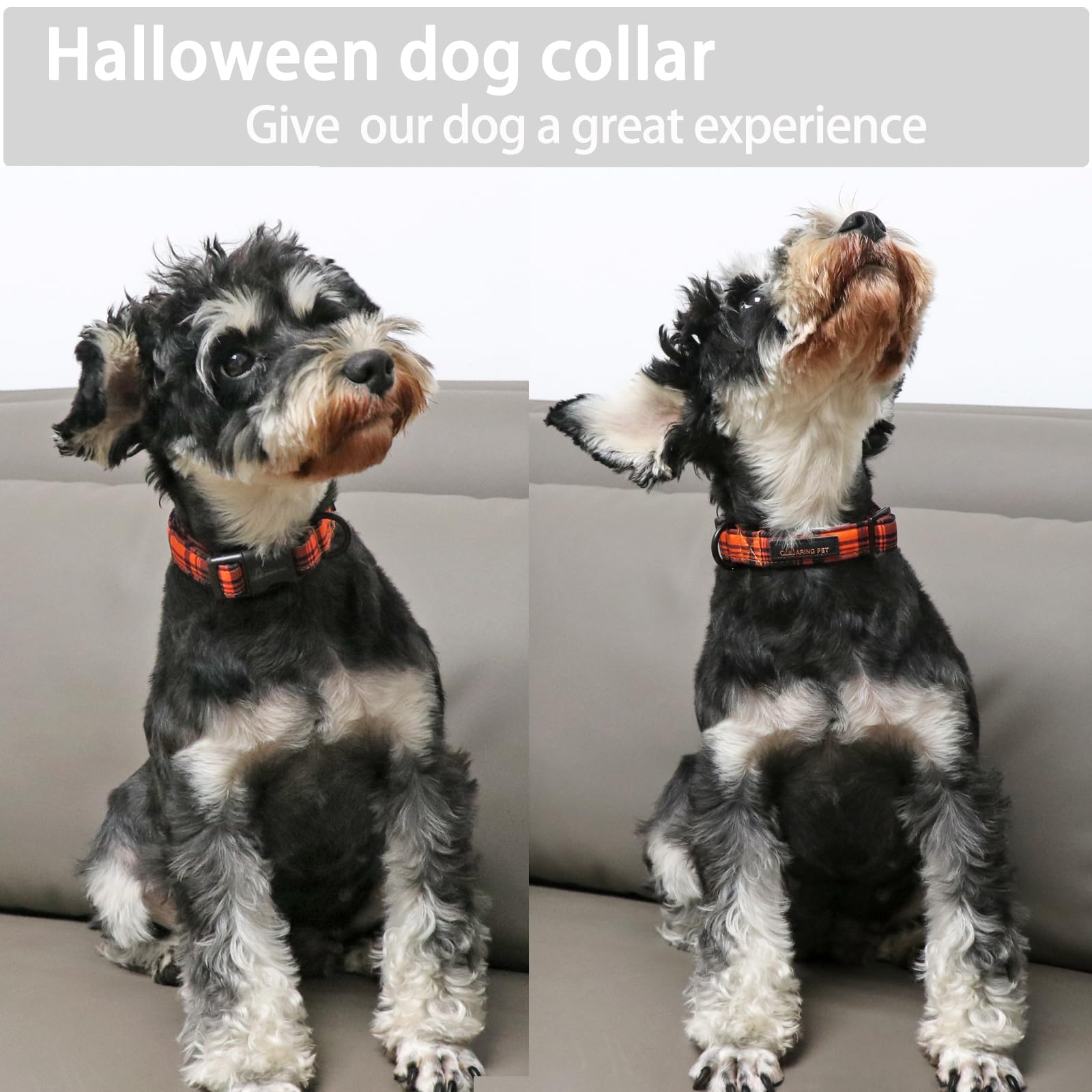 Aring Pet Halloween Dog Collar-Cute Fall Dog Collar For Small Dogs, Cotton Halloween Orange Grid Dog Collars For Small Medium La