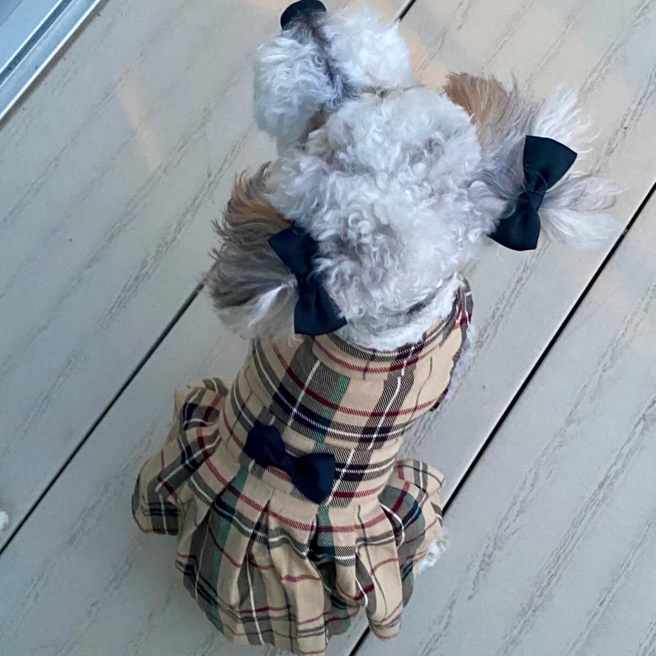 Pupteck Classic Plaid Dog Dress Cute Puppy Clothes Outfit Small