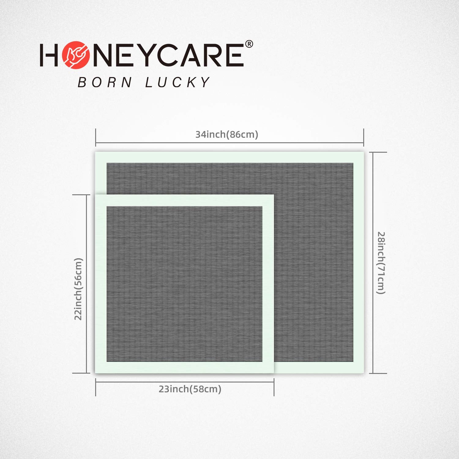 Honey Care All-Absorb Puppy Training Pads | Doggie Potty Pads Absorb Eliminating Urine Odor, Ultra Charcoal Dog Pee Pad (Carbon, L 22X23 Inch, 100Ct)