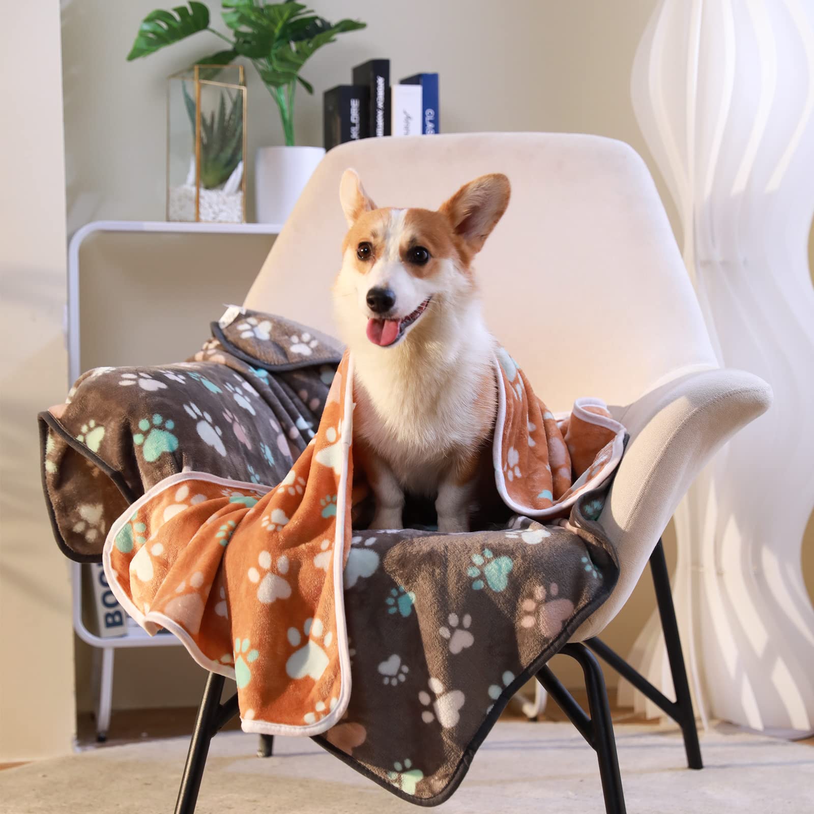 1 Pack 6 Blankets Dog Cat Soft Fluffy Fleece Pet Blanket Warm Cute Print Design Puppy Kitten Blanket Doggy Paw Large(41'X31')