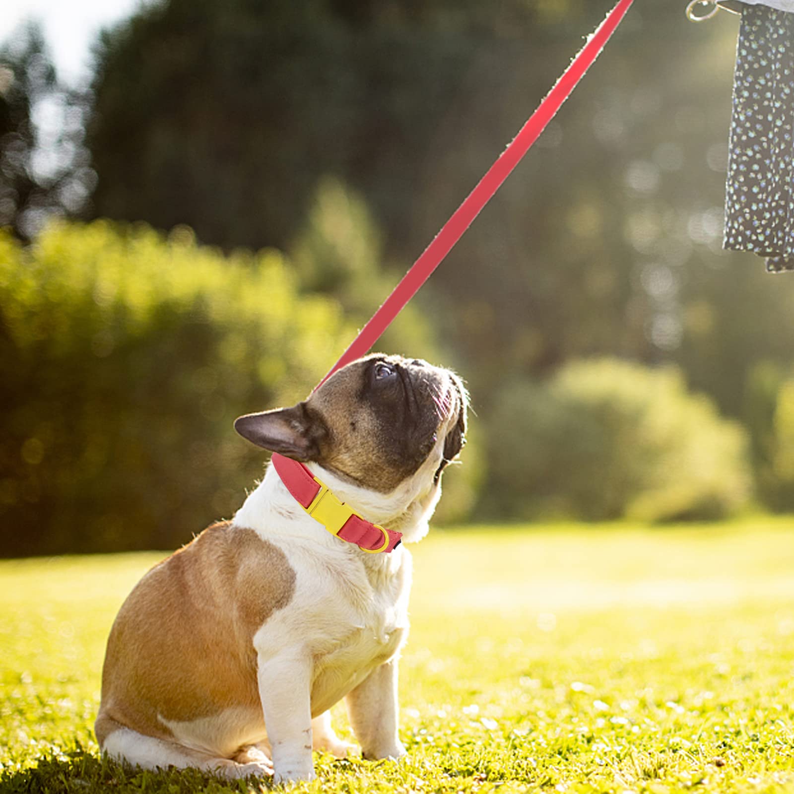 M MACA BATES Adjustable Dog Collar and Leash Set, XS, Metal Buckle, Peach Red for Small Medium Large Dogs