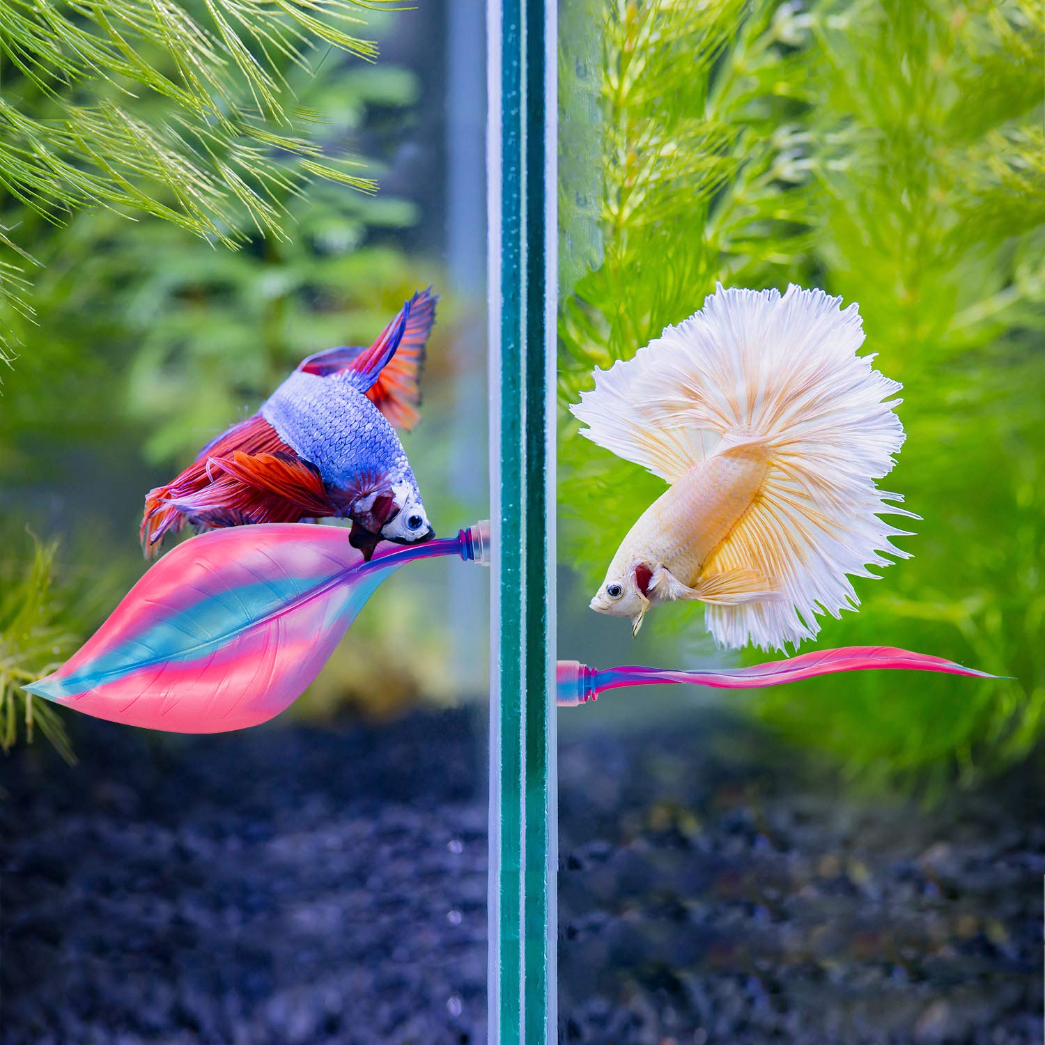 Willbond 2 Pieces Silicone Betta Bed Leaf Hammock For Betta Fish, Betta Fish Bed, Practical Resting Spot, No Bpa, Comfortable And Safe (Pink)