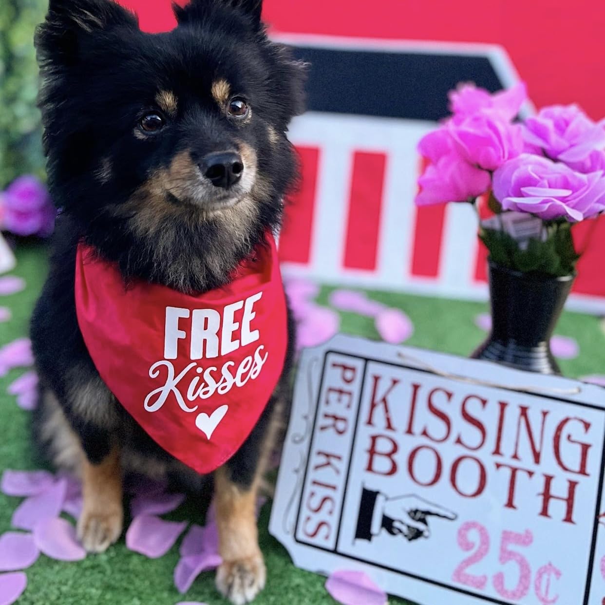 Free Kisses With Heart Valentine'S Day Dog Bandana (Hot Pink, Os 196)
