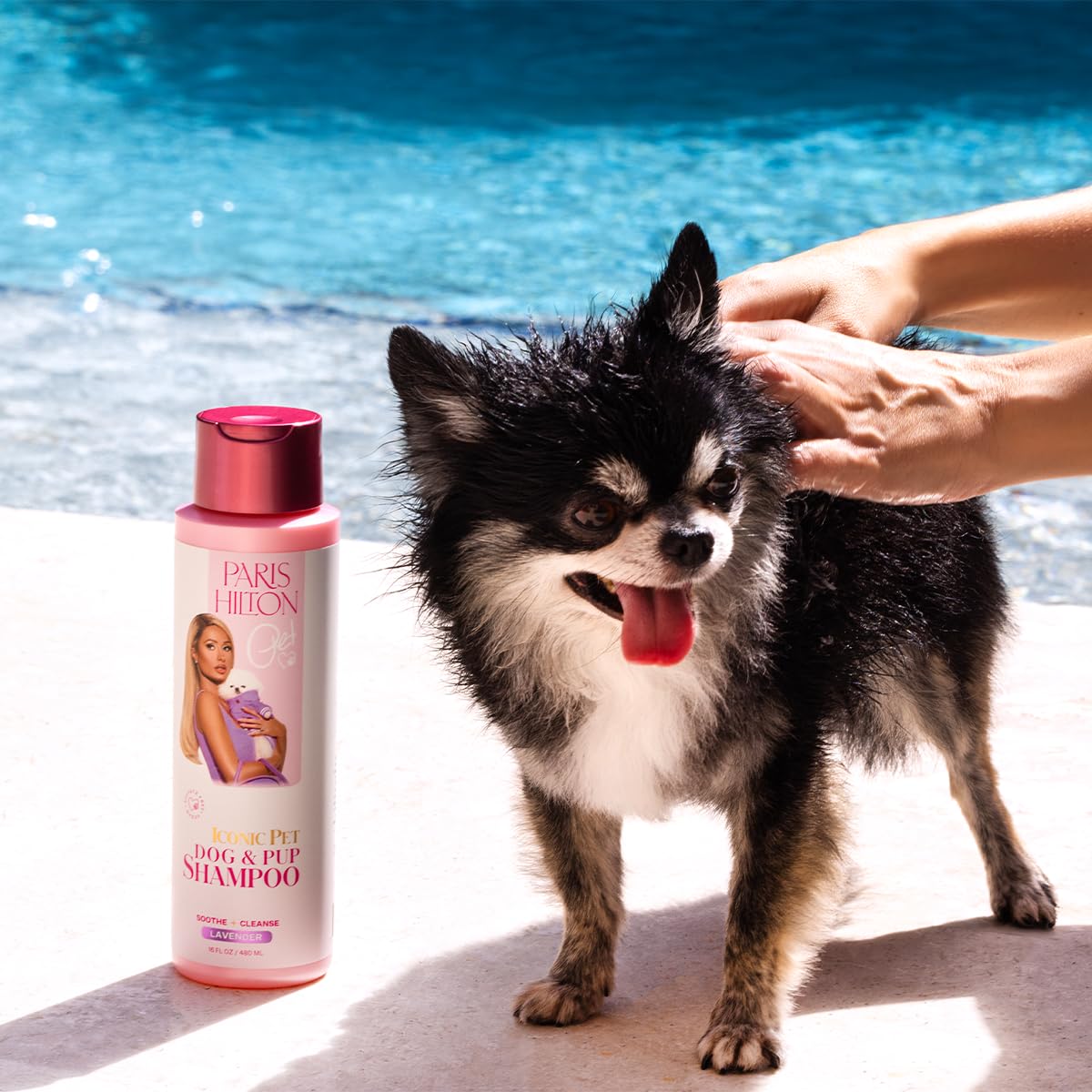 Paris Hilton Dog Shampoo - Gentle Calming Lavender Scent, Sulfate-Free Vegan & Hypoallergenic for All Dog Breeds, with Oatmeal &