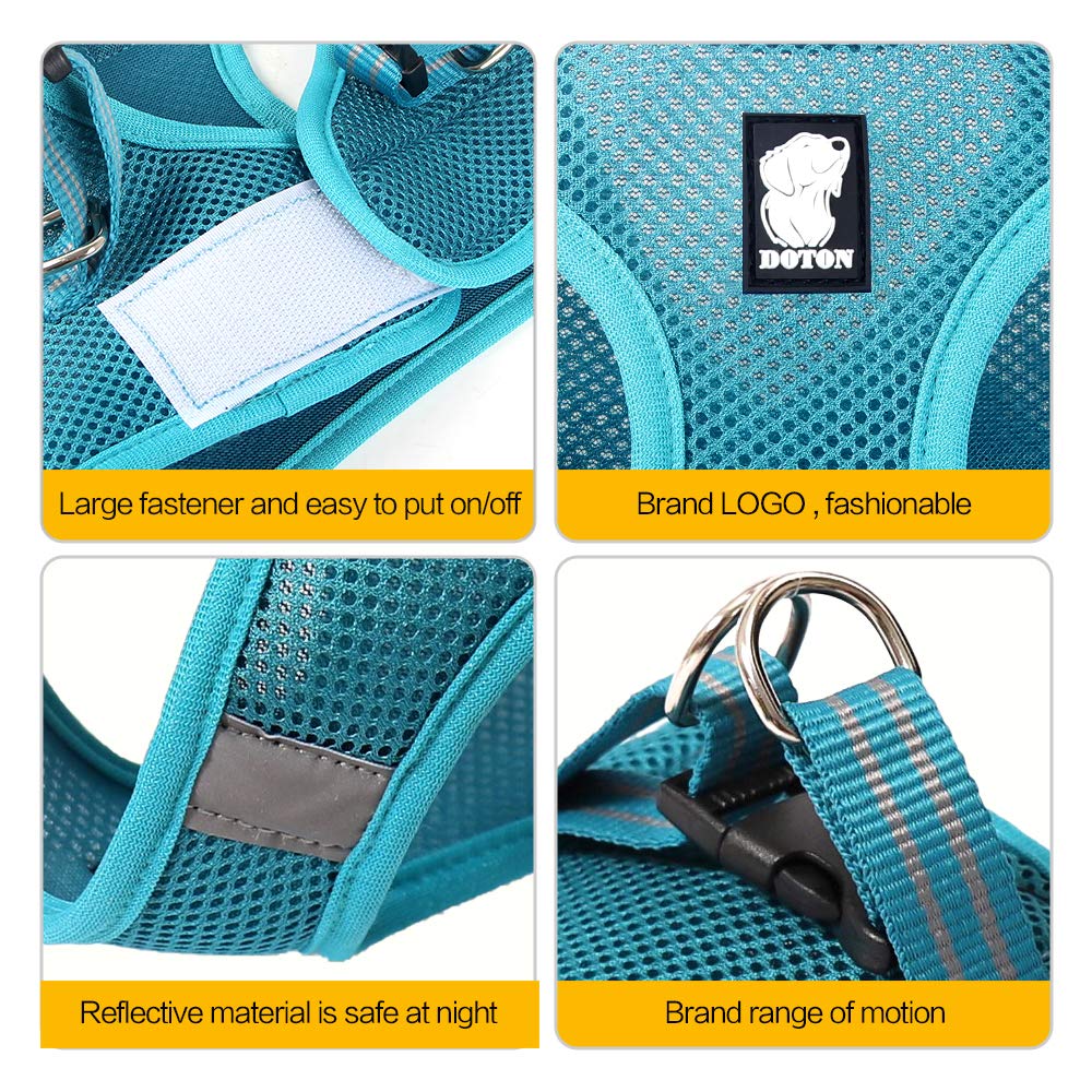 Heywean Cat Harness And Leash - Ultra Light Escape Proof Kitten Collar Cat Walking Jacket With Running Cushioning Soft And Comfortable Suitable For Puppies Rabbits (M, Turquoise)