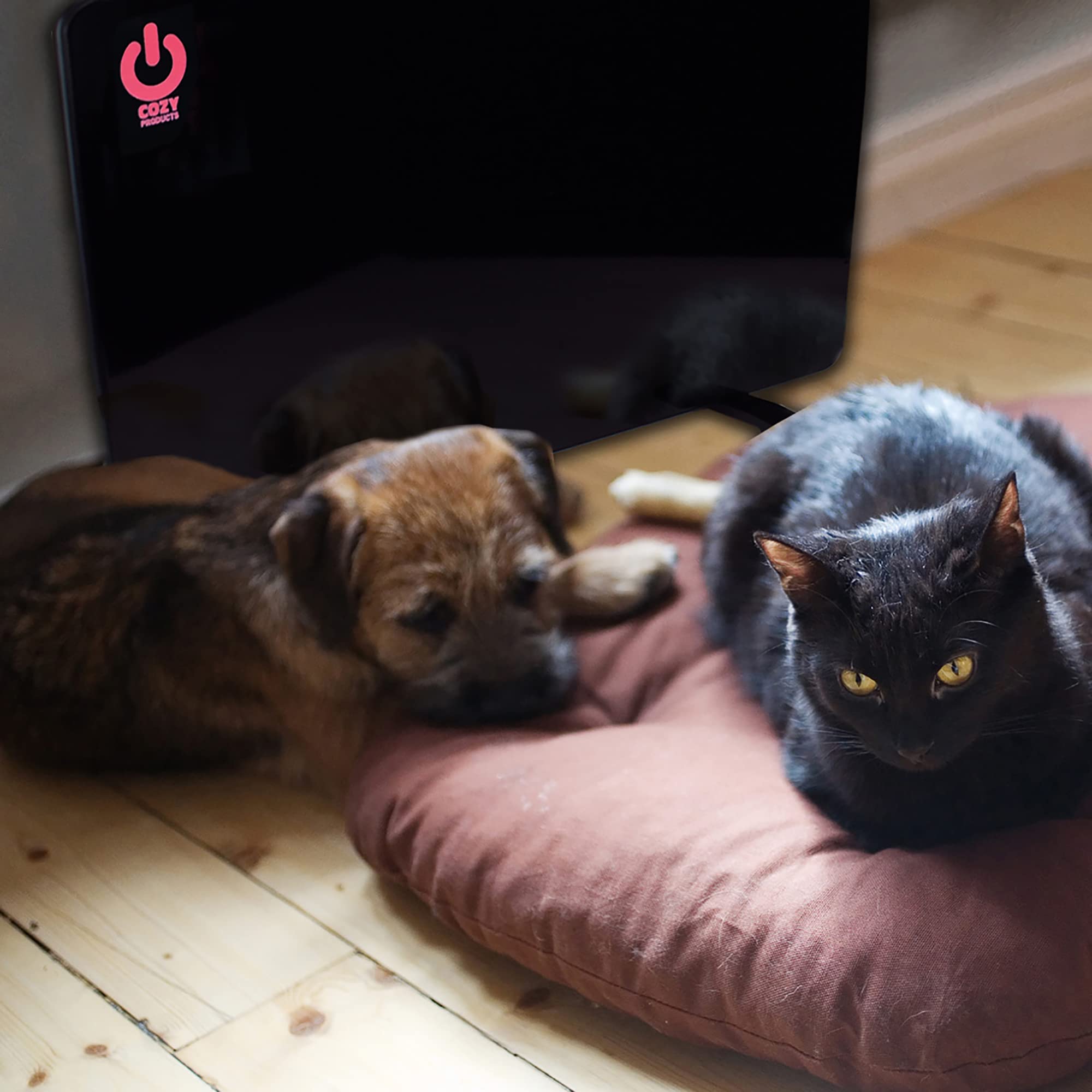 Cozy Products Cozy Pet Warmer, Compact Panel Heater For Cats, Dogs, And Other Pets, Sleek And Portable Heater With Thermostat, Energy-Efficient, 200-Watts, 19' X 13' X 5/8', 5 Lbs.