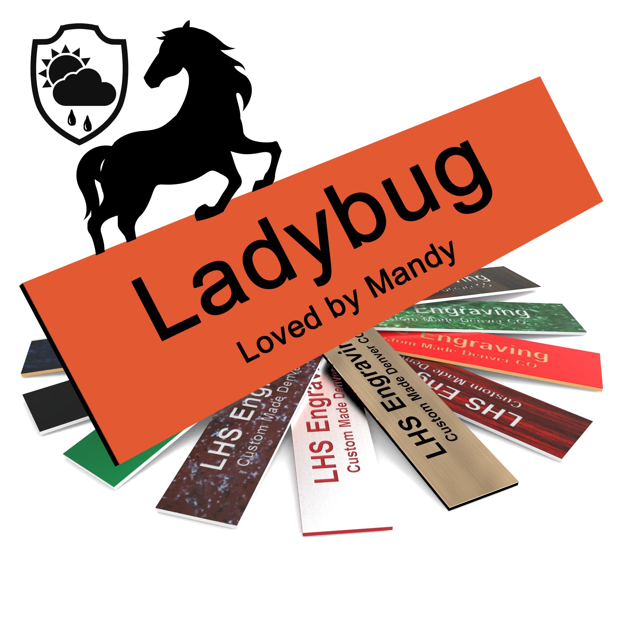 Lhs | Horse Stall Name Plate, 2X8 Personalized Stall Signs, Uv Protected, All Weather Adhesive, Hanging, Mounting Or Other, Oran