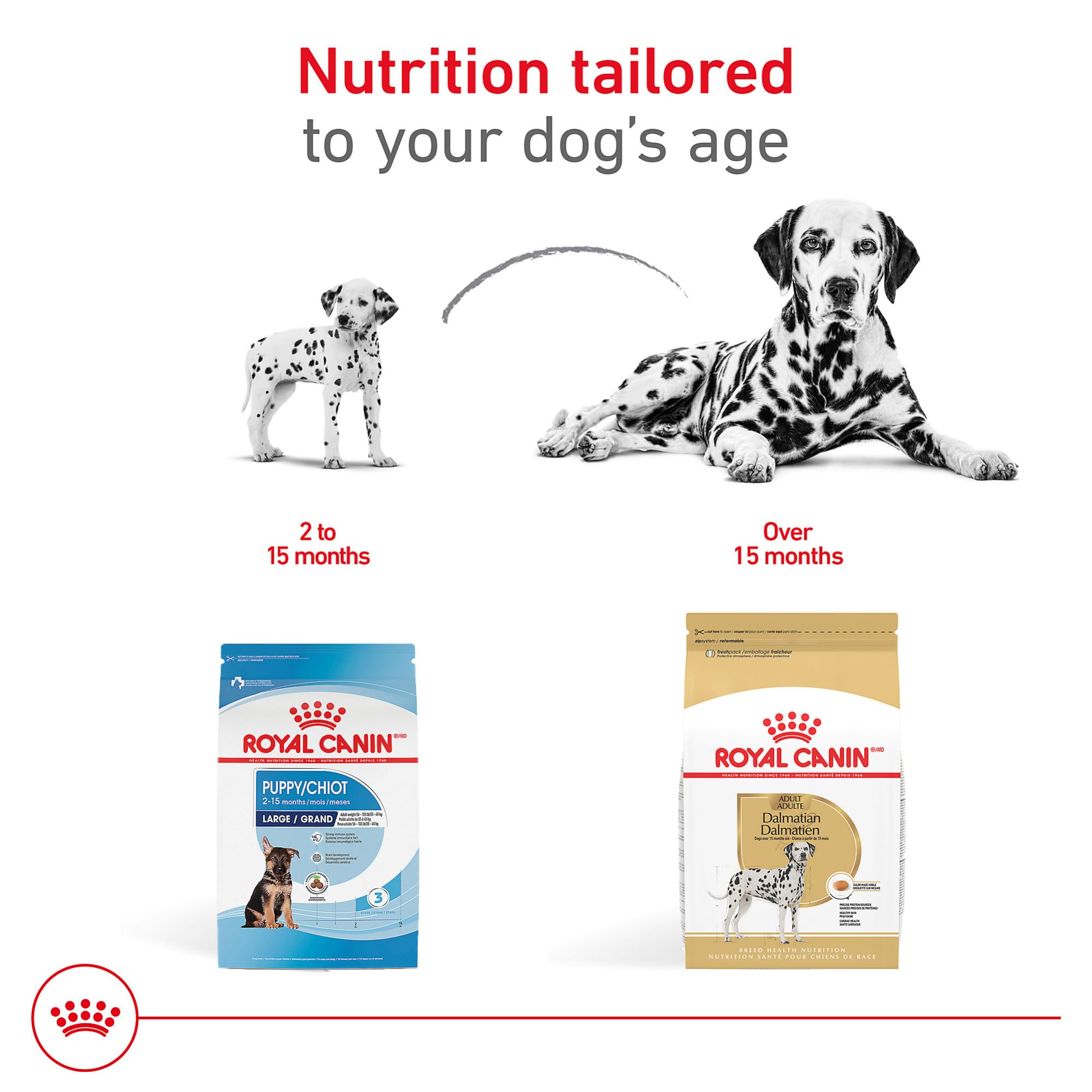 Royal Canin Dalmatian Adult Dry Dog Food, 30 lb Bag - Breed Health Nutrition, Model 520730