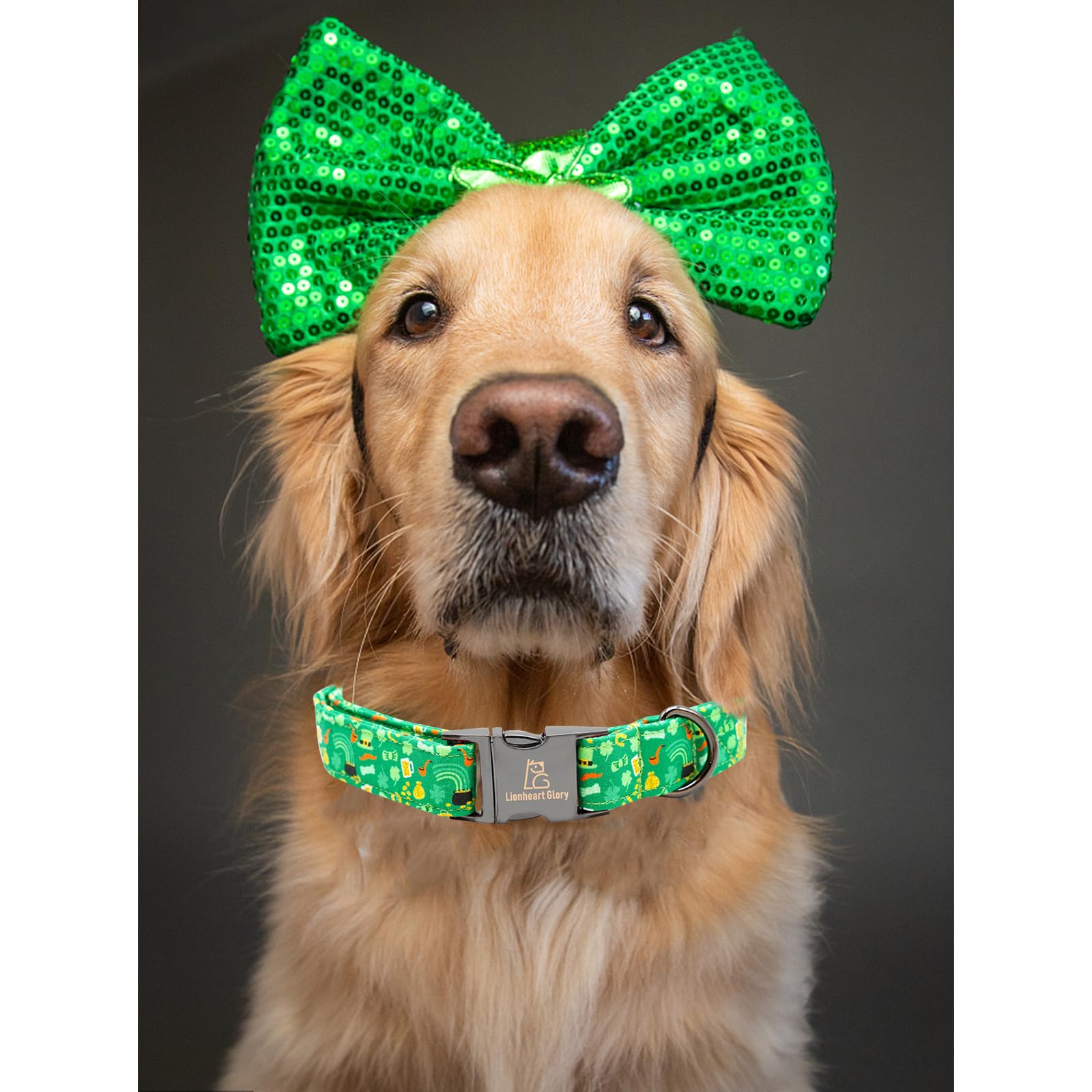 Lionheart Glory St. Patrick Dog Collar, Clover Collars Green Dog Collar For Small Dogs Spring Dog Collar Adjustable Heavy-Duty P