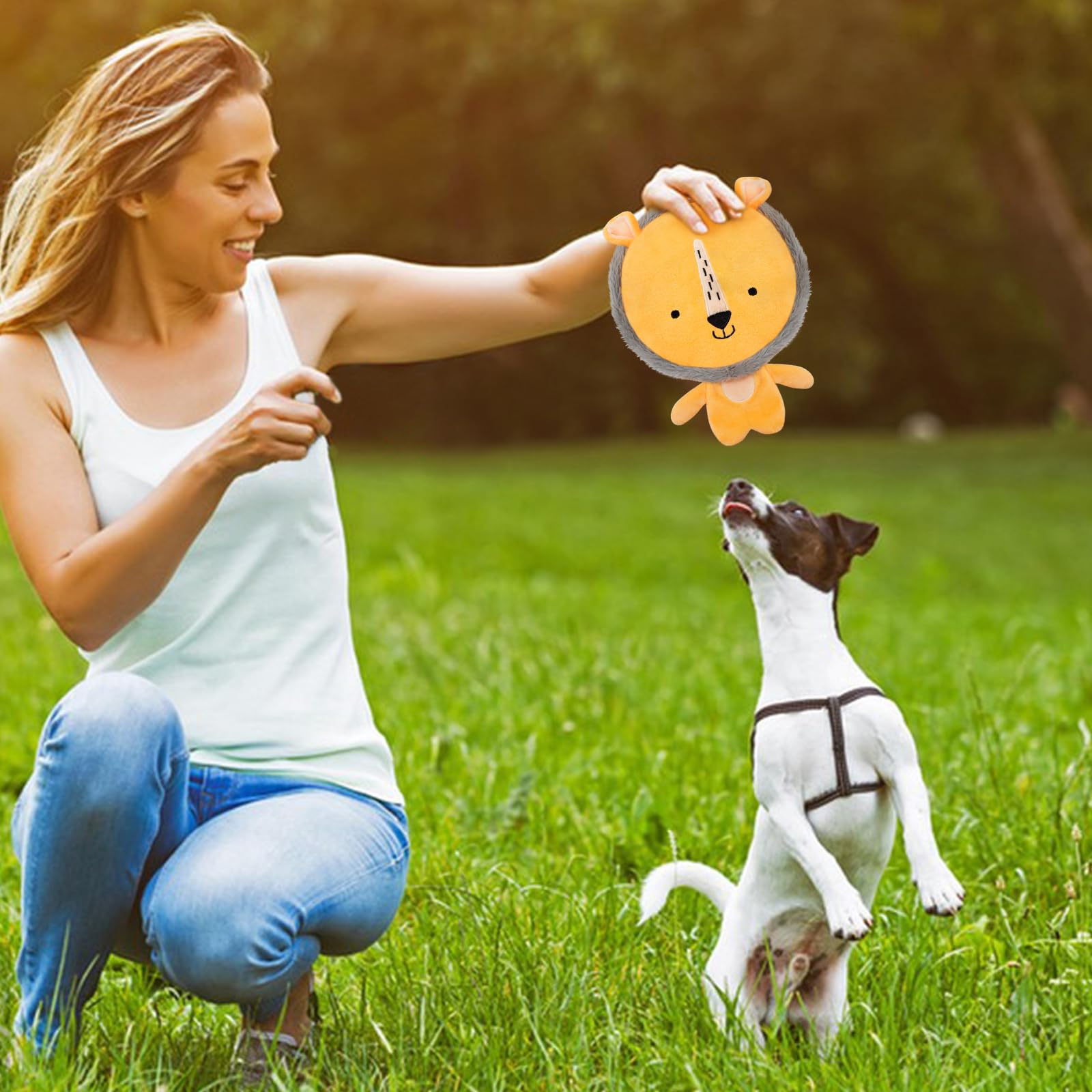 Lepawit Dog Toys With Super Loud Squeaker & Crinkle Paper, Interactive Squeaky Dog Toys For Small And Medium Dogs