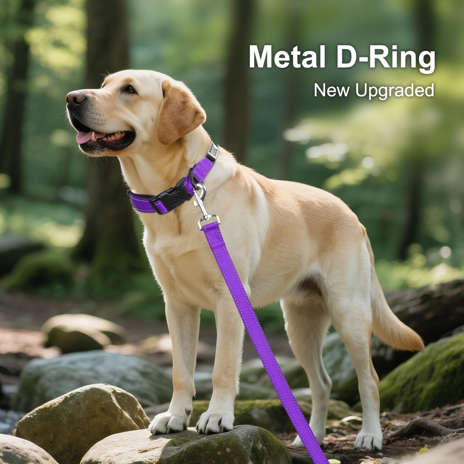 Joytale Personalized Dog Collars, Reflective Nylon Dog Collar With Engraved Name Plate, Customized For Medium Dogs, Purple, M