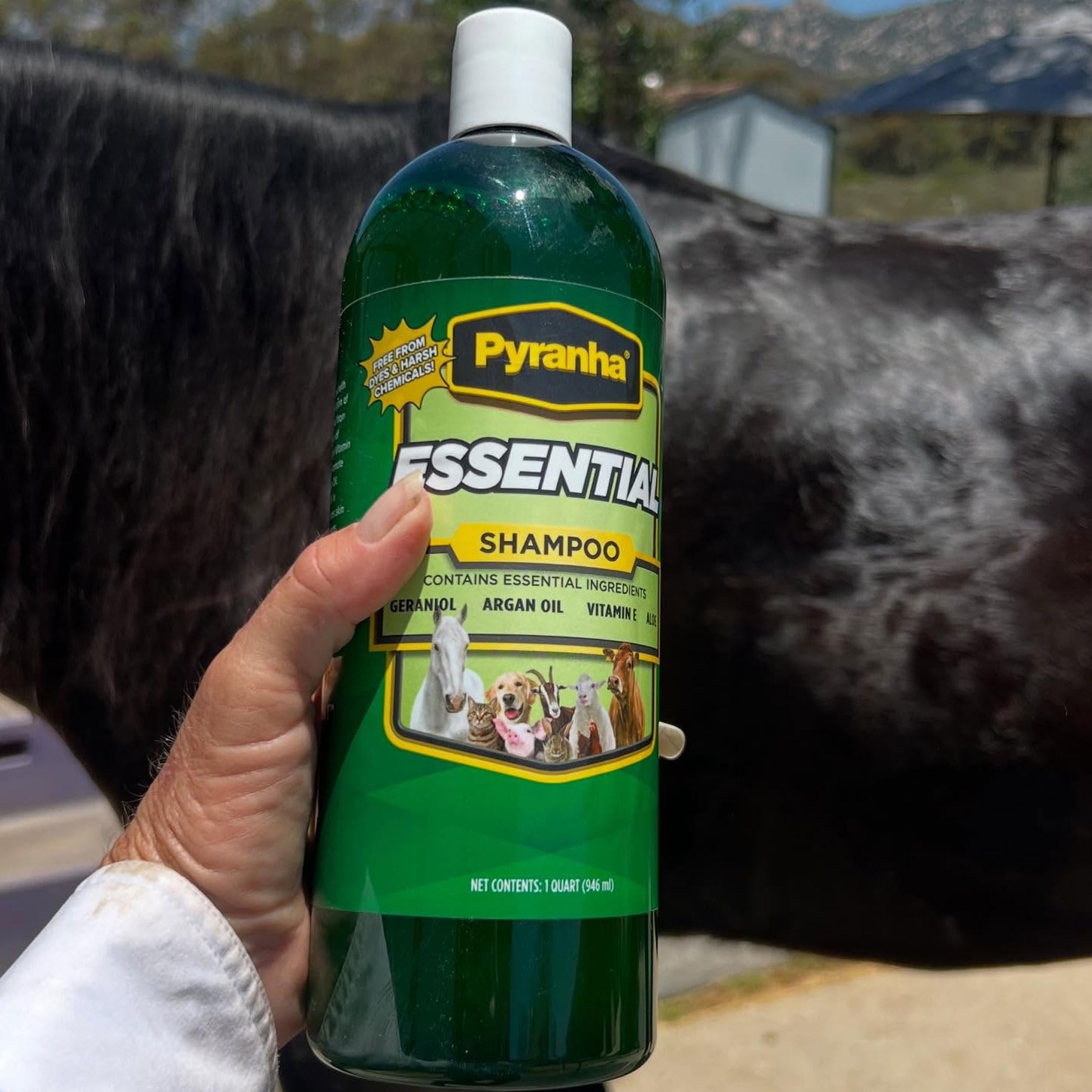 PYRANHA Essential Shampoo - Cleaning Refreshing Product for Horse, Dog, Cat & Show Animals with Coconut & Argan Oil, Geraniol, A
