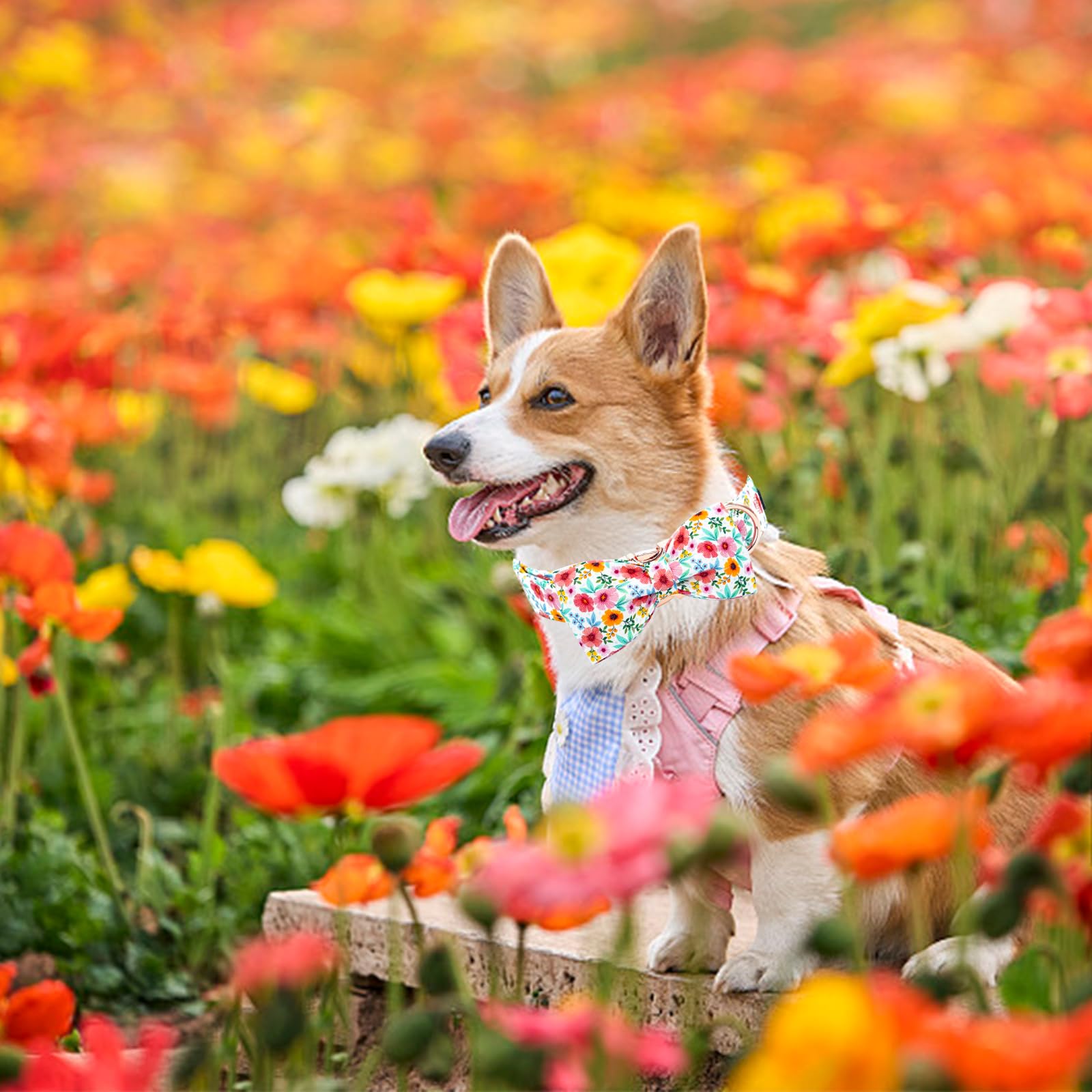 Elegant Little Tail Dog Collar- Cute Floral Dog Collar With Bow For Medium Dogs, Female Adjustable Cotton Summer Pet Bow Holiday