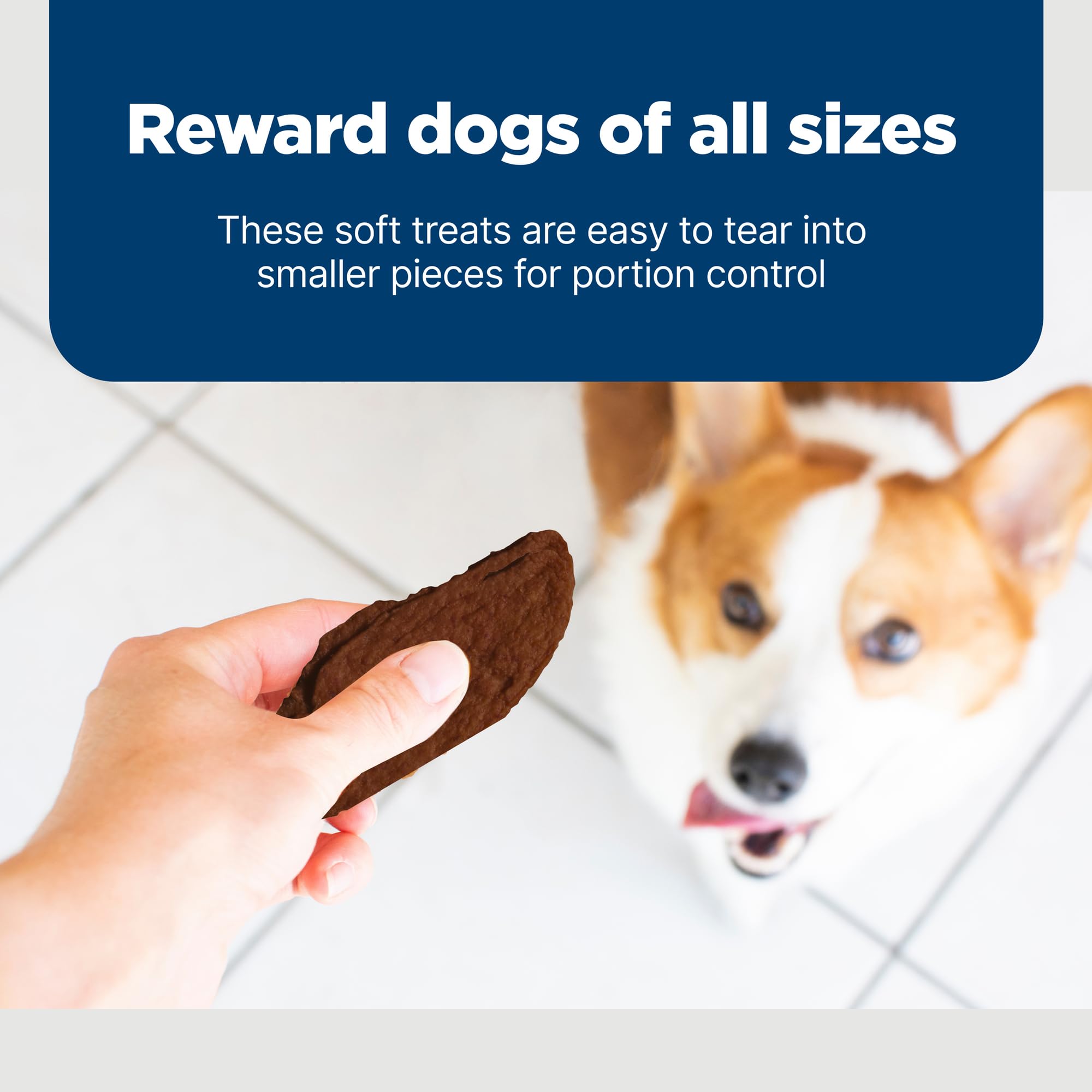 Blue Buffalo Nudges Jerky Cuts Dog Treats, Made in the USA with Natural Ingredients, Steak, 10-oz Bag