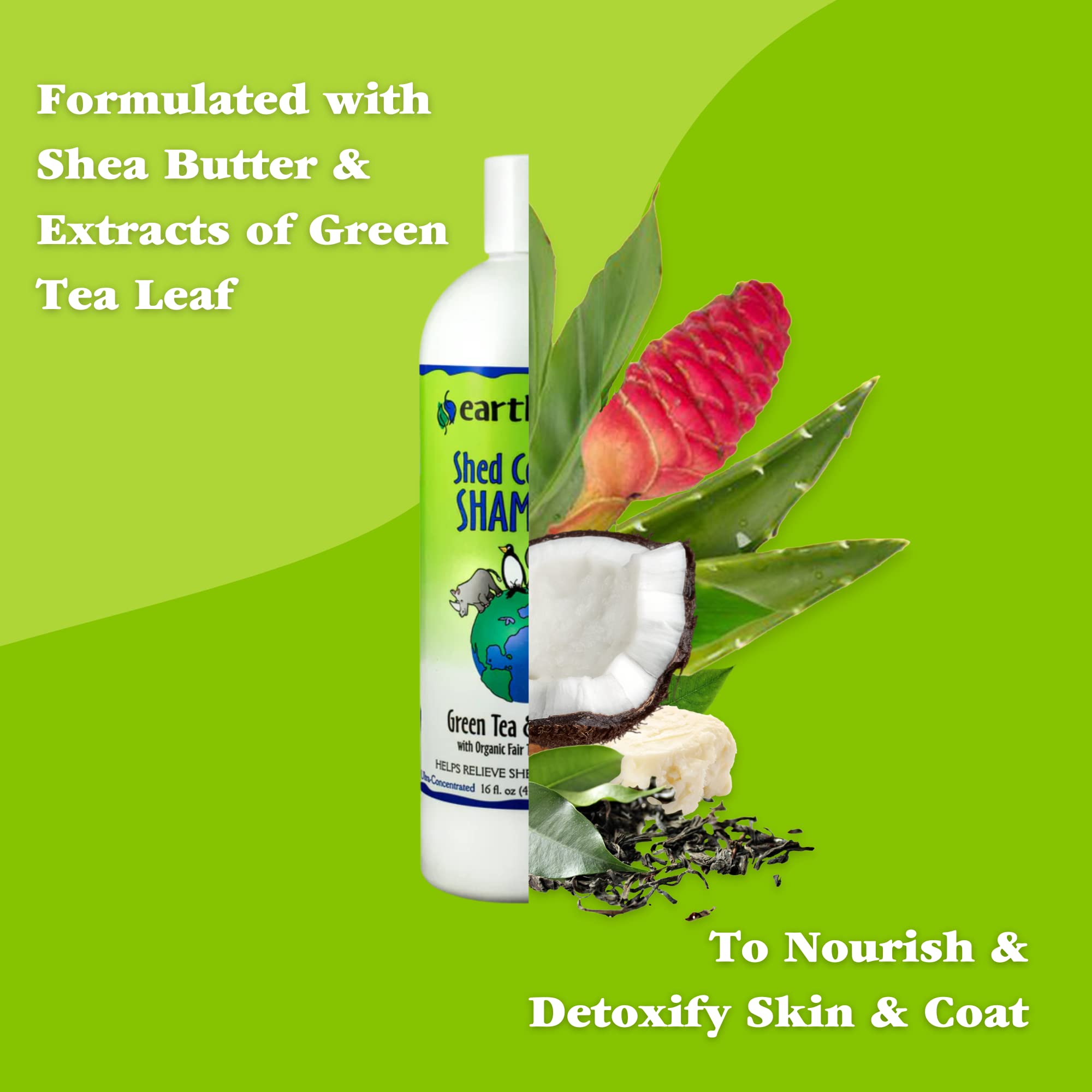 Earthbath, Green Tea & Awapuhi Shed Control Dog Shampoo - Cruelty Free Dog Shampoo, Helps Relieve Shedding & Dander, Gentle Dog Wash, Made In Usa, Dog Bathing Supplies - 16 Oz (1 Pack)