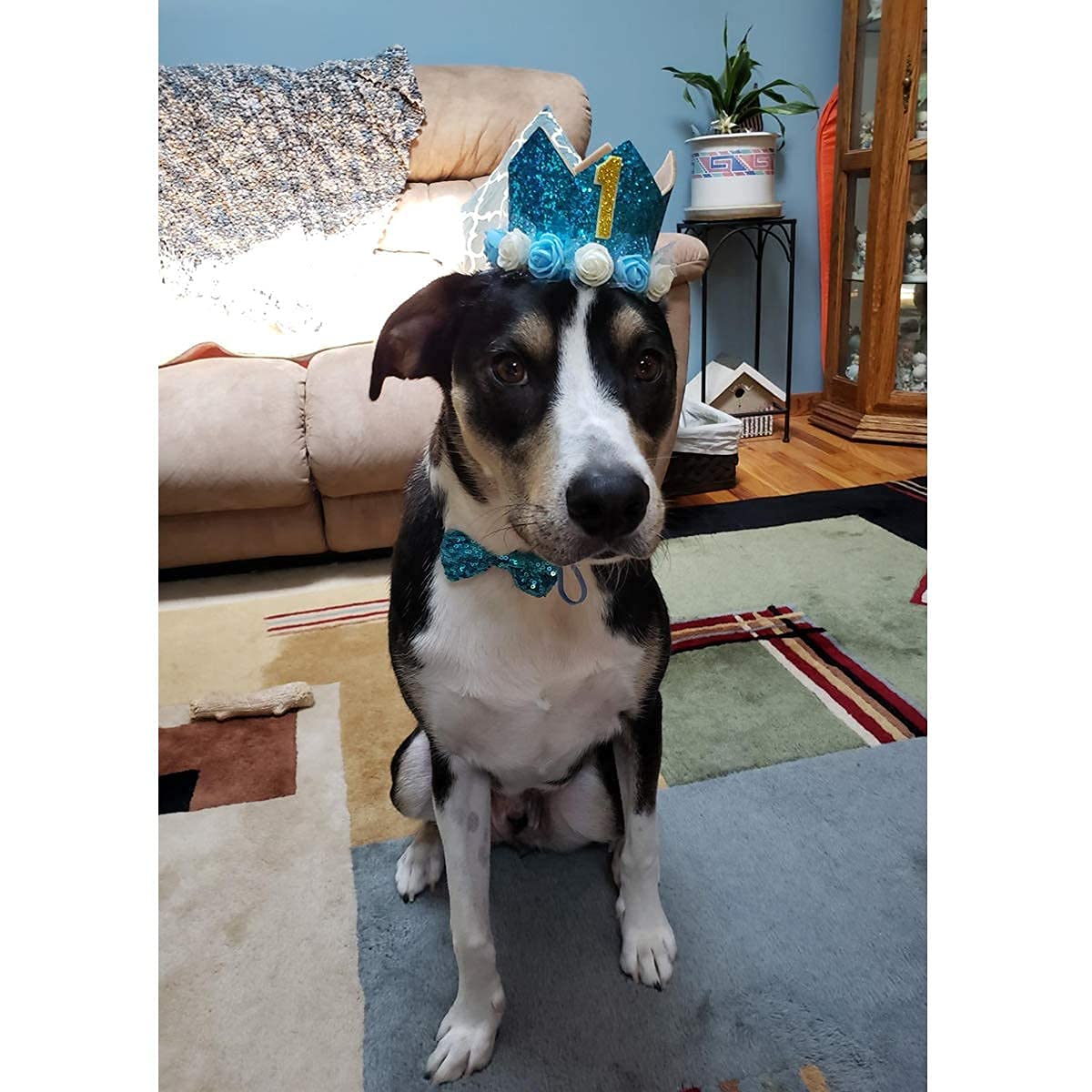 Posapet Cat Dog Birthday Crown Hat And Bow Tie Collar Set Pet Boy Birthday Party Supplies (Blue)