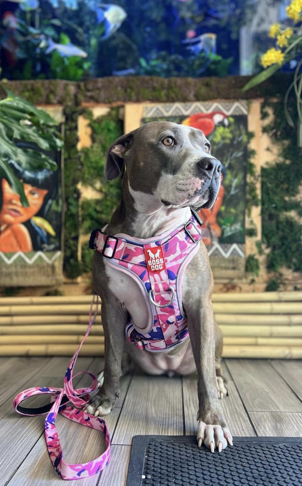 Boss Dog Tactical Harness, Pink Camo, Large