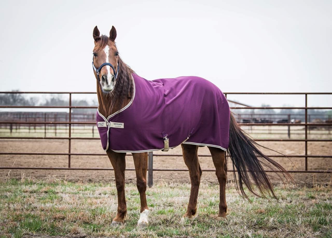 Horseware Amigo Jersey Cooler (No Fill)