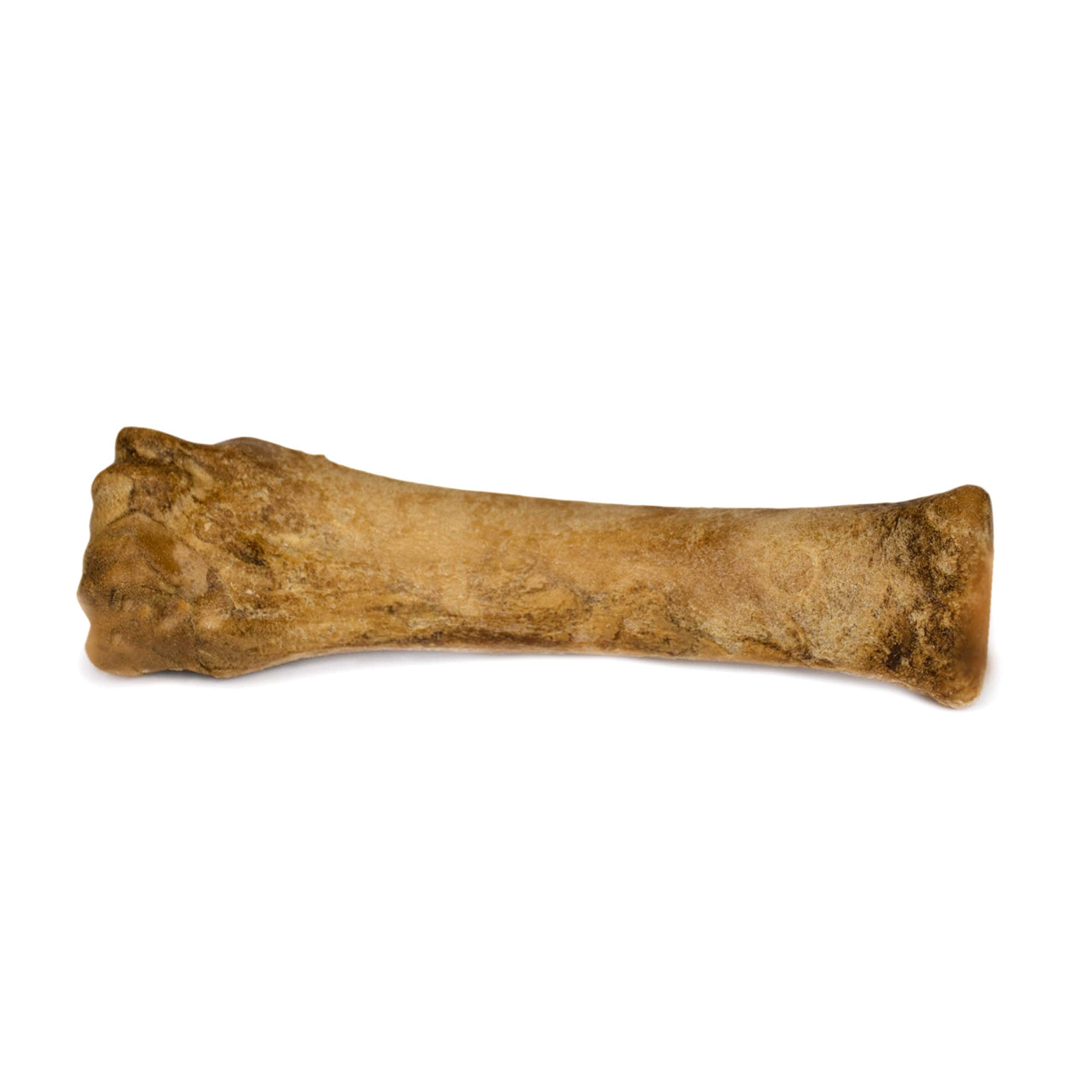 Nylabone Healthy Edibles Natural Dog Chews Long Lasting Roast Beef Flavor Treats for Dogs, X-Large/Souper (1 Count)