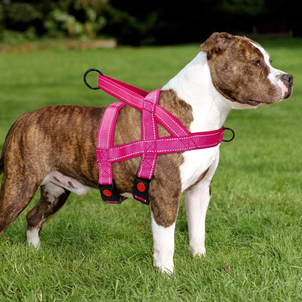 Beirui No Pull Escape Proof Dog Harness For Small Medium Large Dogs - Soft Padded Reflective Puppy Dog Walking Harnesses (Hot Pink, S)