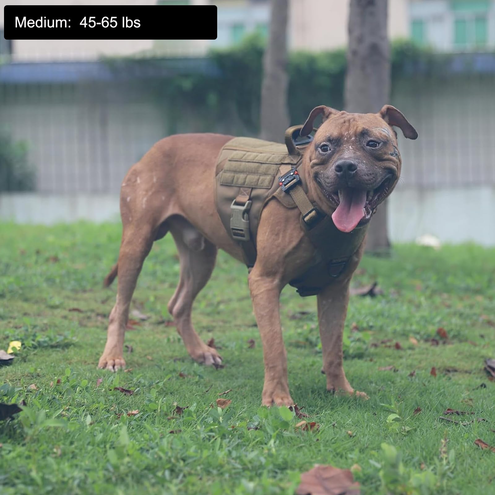 Icefang Tactical Dog Harness,Medium Size, 2X Metal Buckle,Working Dog Molle Vest With Handle,No Pulling Front Leash Clip,Hook And Loop Panel