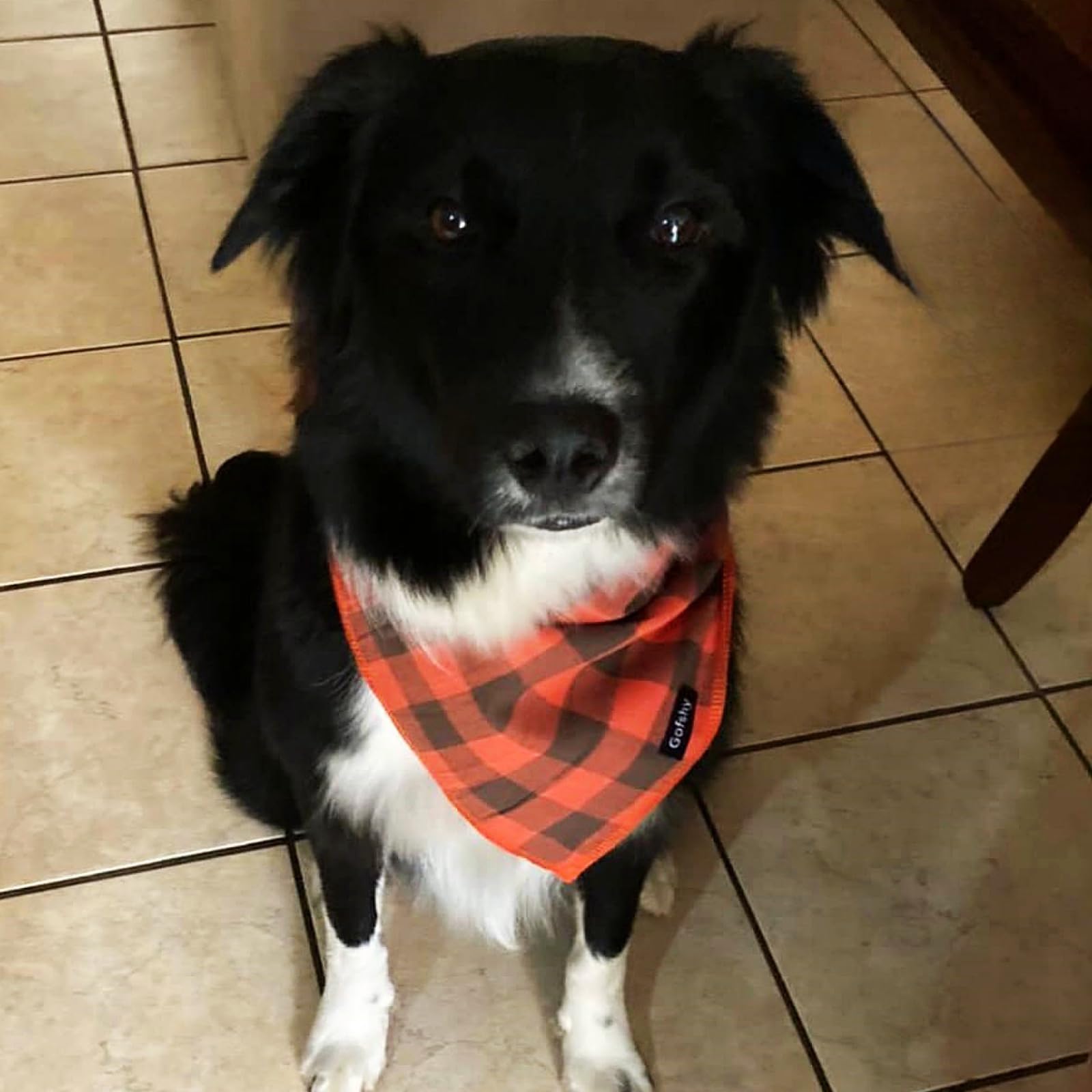 Gofshy Dog Bandana Fall Large-Orange Brown Dog Scarf Buffalo Plaid Printing Adjustable Bib Handkerchief Accessories for Medium L