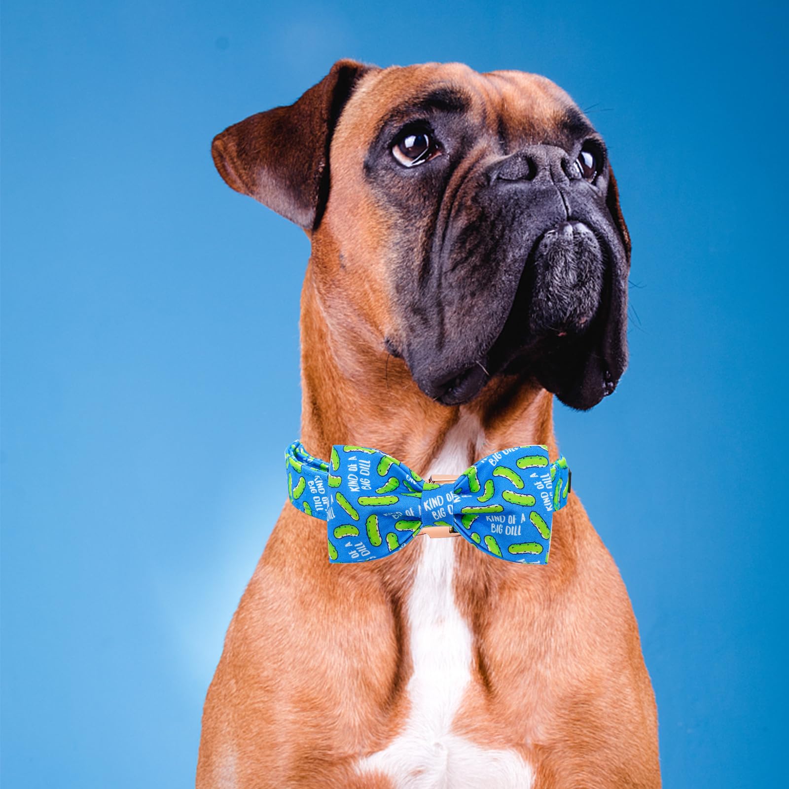 Elegant little tail Dog Collar, Dog Collar with Bow tie, Dill Pickles Print Dog Collar Pet Collar Boy Cute Bowtie Collar Dog for