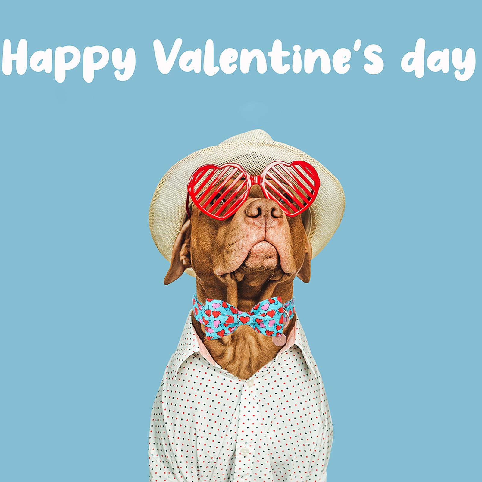 Dogwong Valentine Dog Collar With Bow, Blue Heart, Soft Cotton, Perfect Fit For Small Dogs