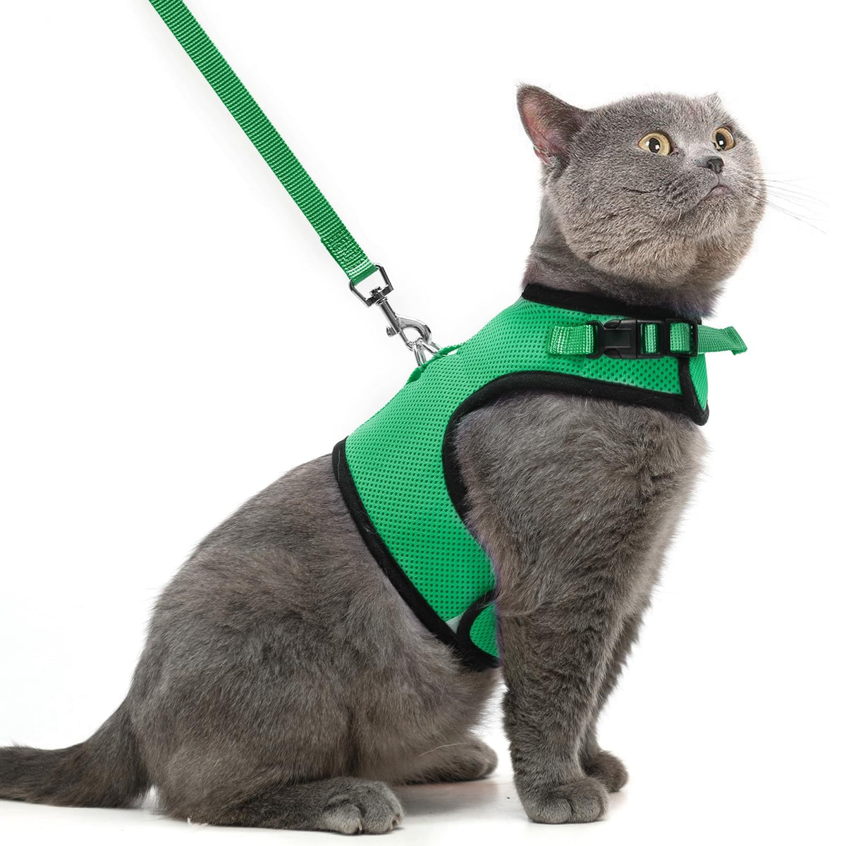 Pupteck Soft Mesh Cat Vest Harness And Leash Set Puppy Padded Pet Harnesses Escape Proof For Cats Small Dogs Rabbits Bunny, Deep