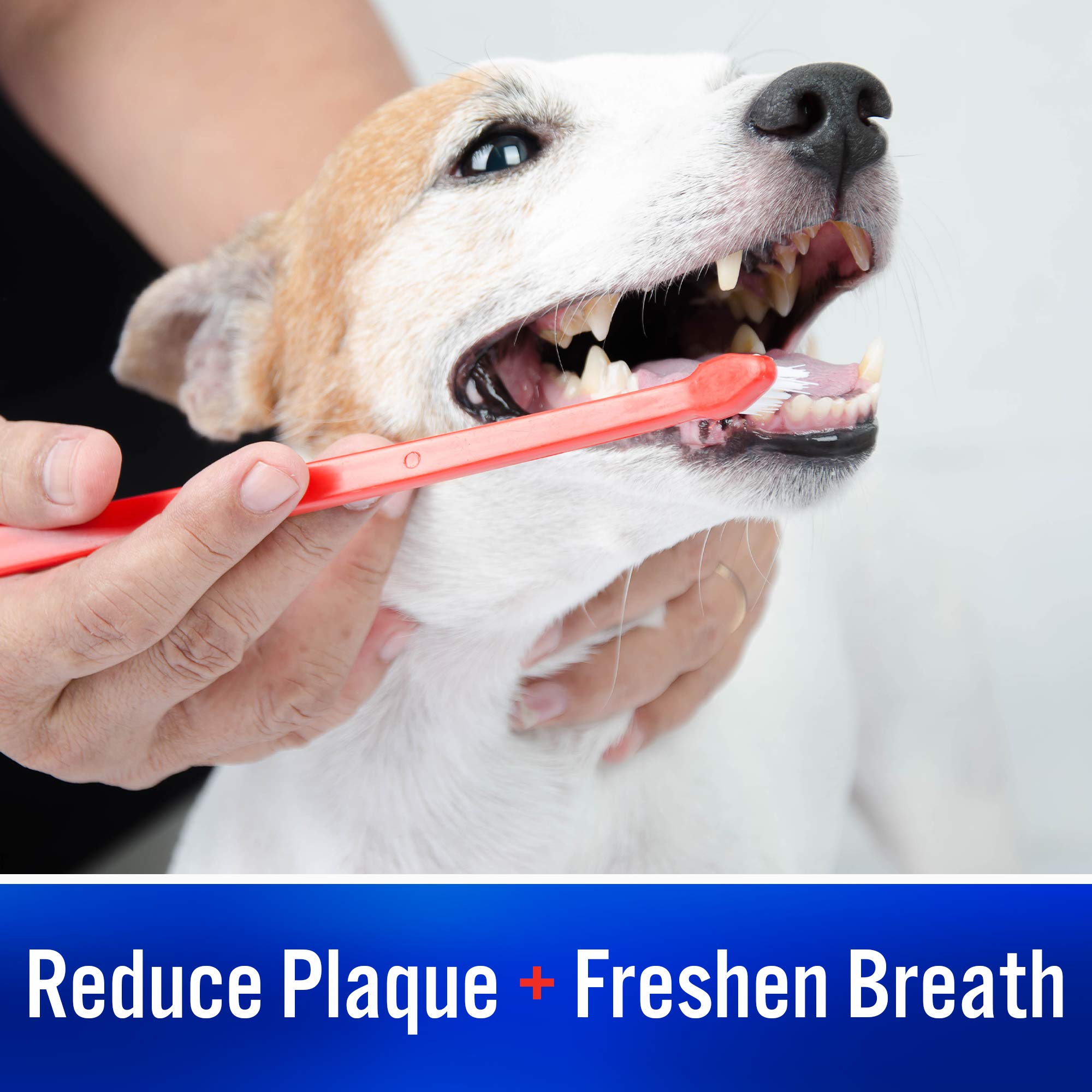 Virbac C.E.T. Enzymatic Toothpaste Eliminates Bad Breath by Removing Plaque and Tartar Buildup Best Pet Dental Care Toothpaste V