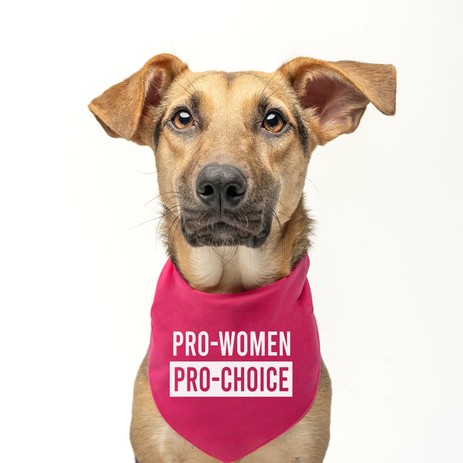 Pro-Women Pro-Choice Dog Bandana | 100% Cotton Adjustable Triangle | Made In Usa | Women'S History Month | Feminist | Female Rig