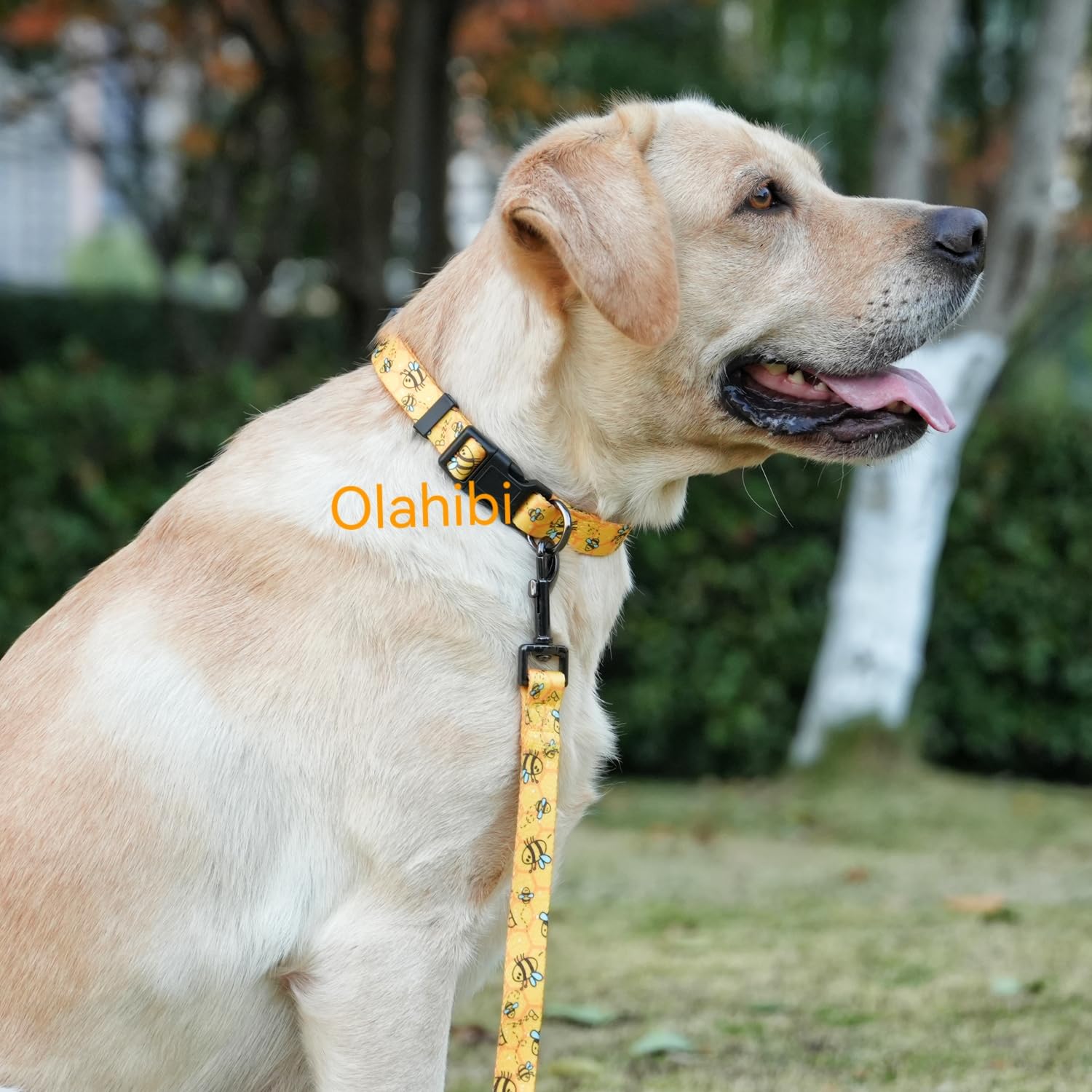 Olahibi Dog Collar Leash Set, Busy Bee Pattern, 5Ft Matching Leash, Polyester Material, 4 For Small Medium Large Dogs.(M, Bee)