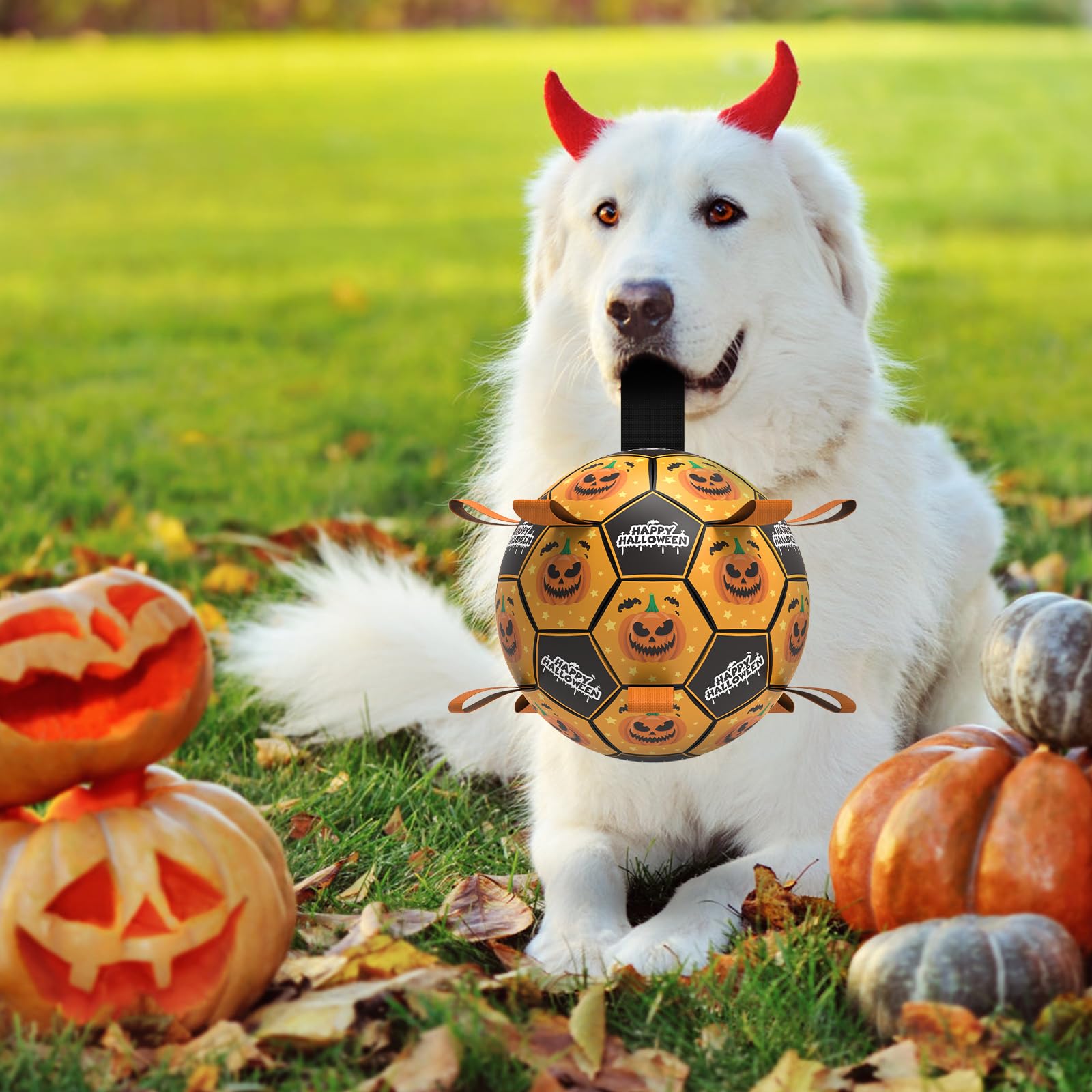 QDAN Halloween Dog Toys, Soccer Balls, Interactive Pet Toys, Puppy Dogs Birthday Gifts, Durable Dog Balls for Small Medium Dogs(
