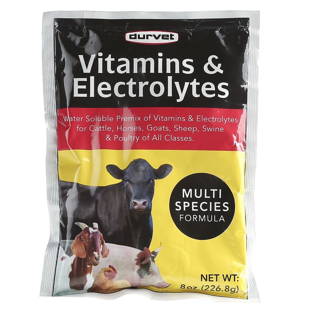 DURVET 136028 Vitamins & Electrolytes, 8 oz