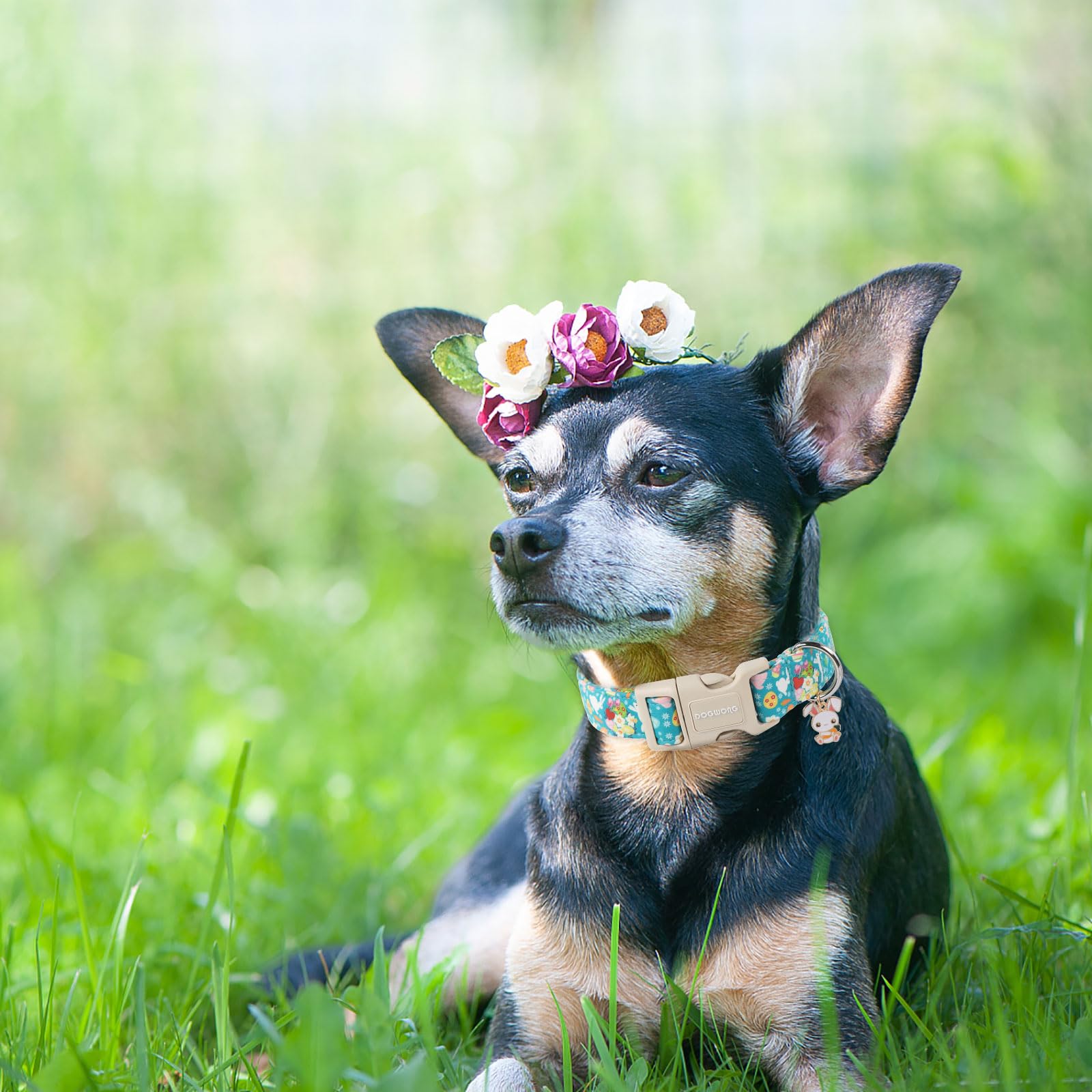 Dogwong Cute Flower Bunny Eggs Easter Dog Collar - Pink, Adjustable For Small Dogs & Puppies