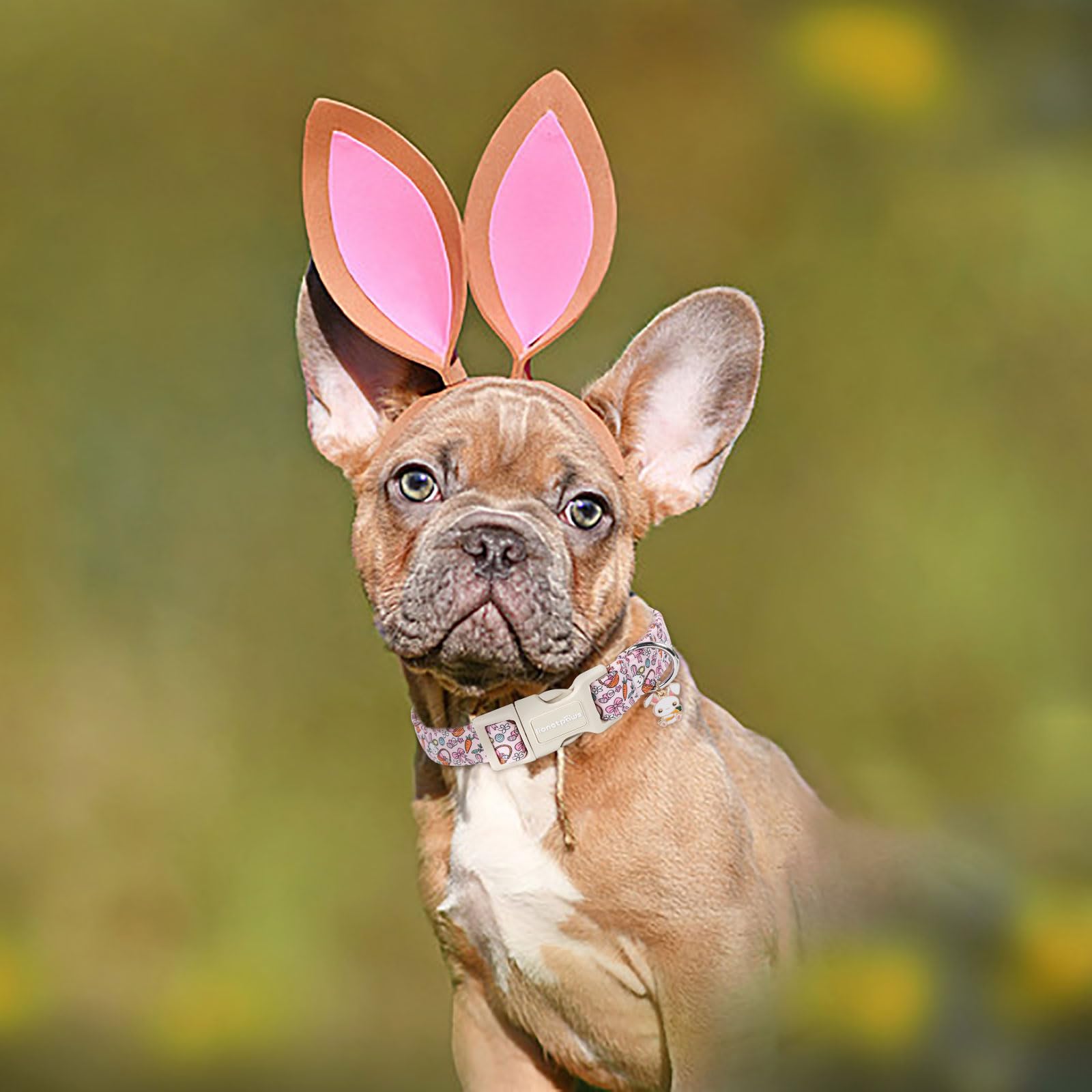 Lionet Paws Cute Pink Rabbit Eggs Dog Collar With Plastic Buckle, Medium Size, Cotton Material, Unique Design, Suitable For Medi