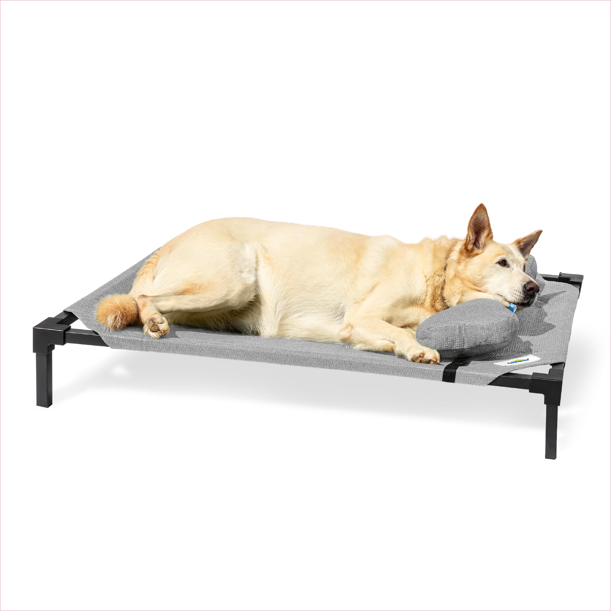 Coolaroo Pro Elevated Dog Bed with HeatShield Fabric - Advanced Cooling Raised Cot for Small & Medium Breeds, Easy-Clean, Low-to
