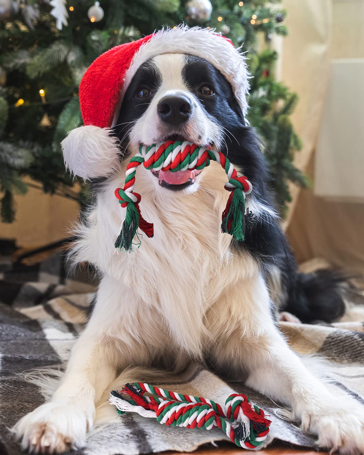 Pweituoet Christmas Dog Toys And Stocking, Adorable Gifts For Puppy To Medium Dog