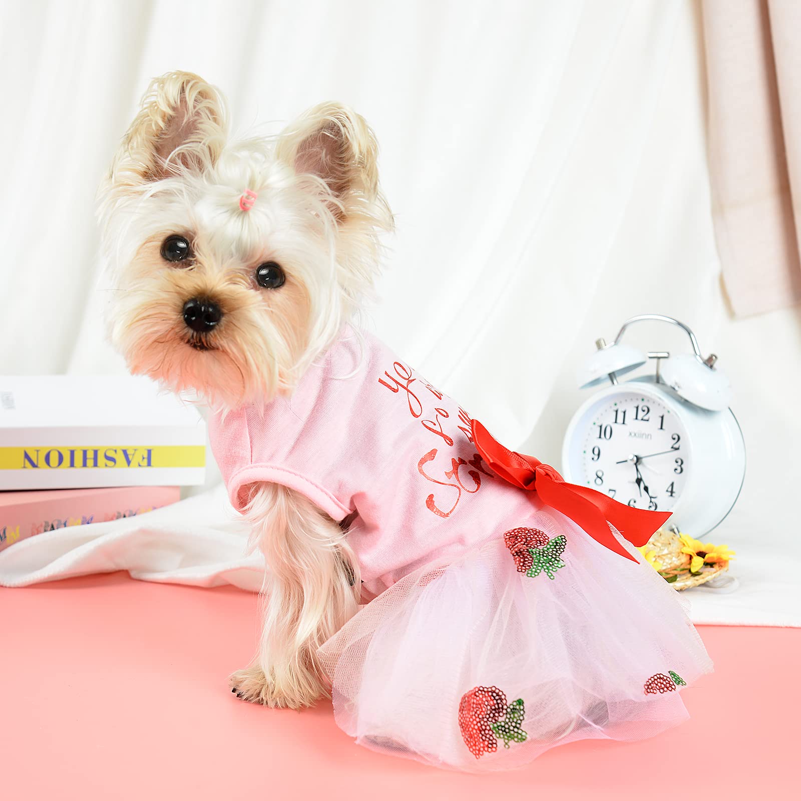 Dog Dress For Small Dogs, Puppy Costume Clothes Girls Pet Clothing Outfit Summer Spring Dresses Chihuahua Yorkie Cat Apparel(X-L