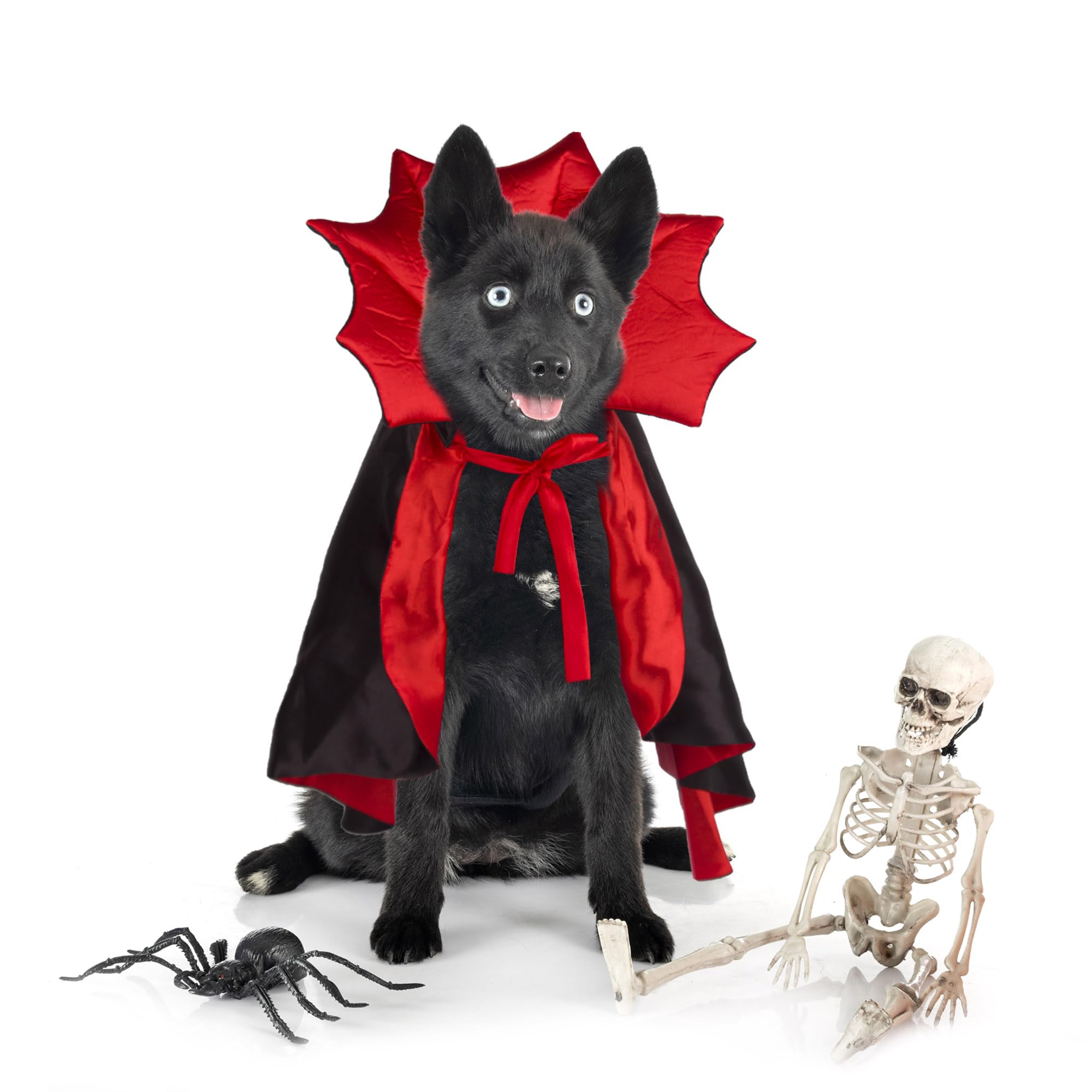 Adoggygo Halloween Dog Costume Dog Vampire Devil Costume Dog Halloween Cloak Cape Red Black Halloween Vampire Costumes For Small Medium Large Dogs (Black&Red, Small)