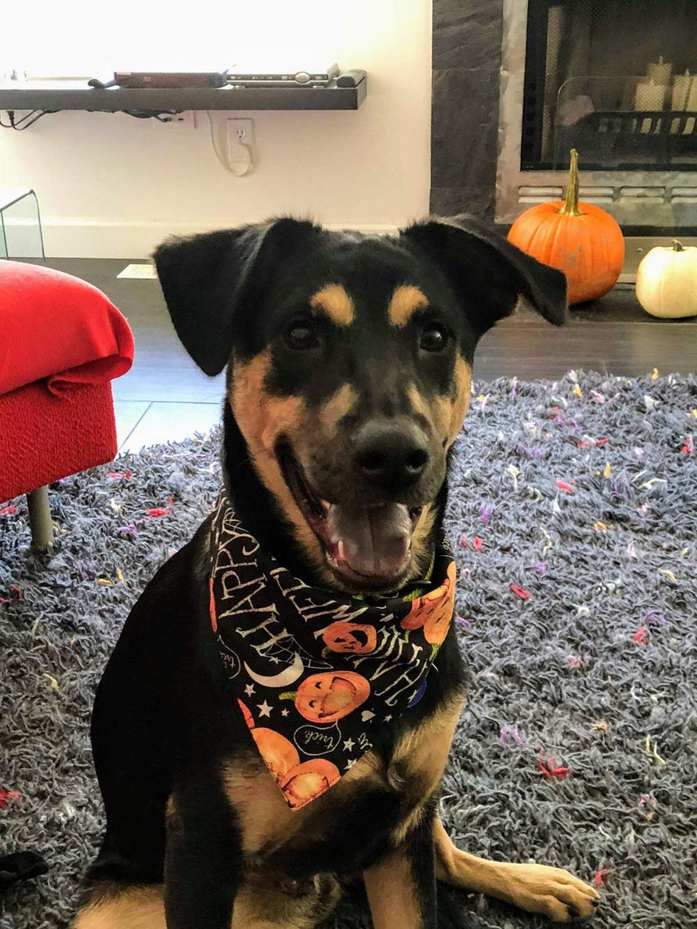Kzhareen 4 Pcs/Pack Halloween Dog Bandana Pumpkin Reversible Triangle Bibs Scarf Accessories For Dogs Cats Pets Small