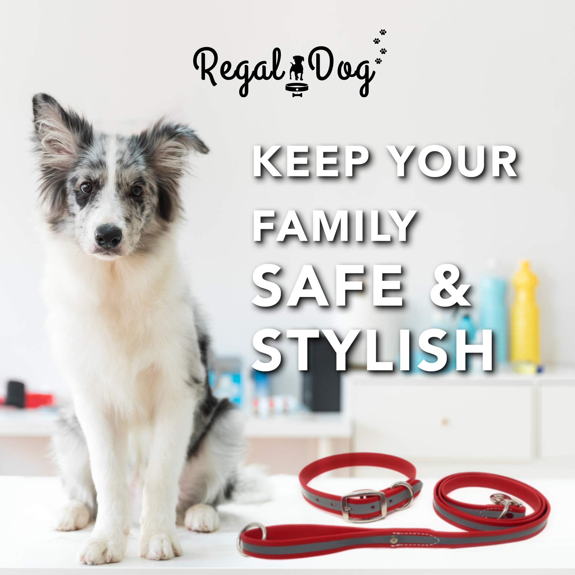 Regal Dog Products Large Red Reflective Dog Collar And Leash Set - Waterproof Biothane Dog Collar With Heavy Duty Double Buckle,