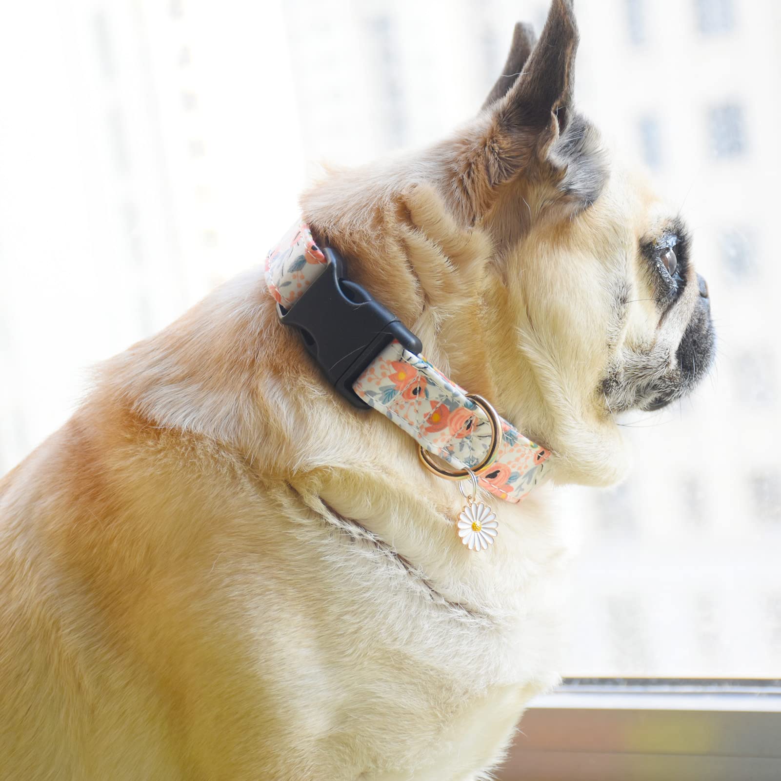 2 Pcs Cotton Dog Collar Soft Cute Flower -3 Sizes Soft Nylon Puppy Collar Adjustable For Girl Female Small Medium Large Dogs (L(