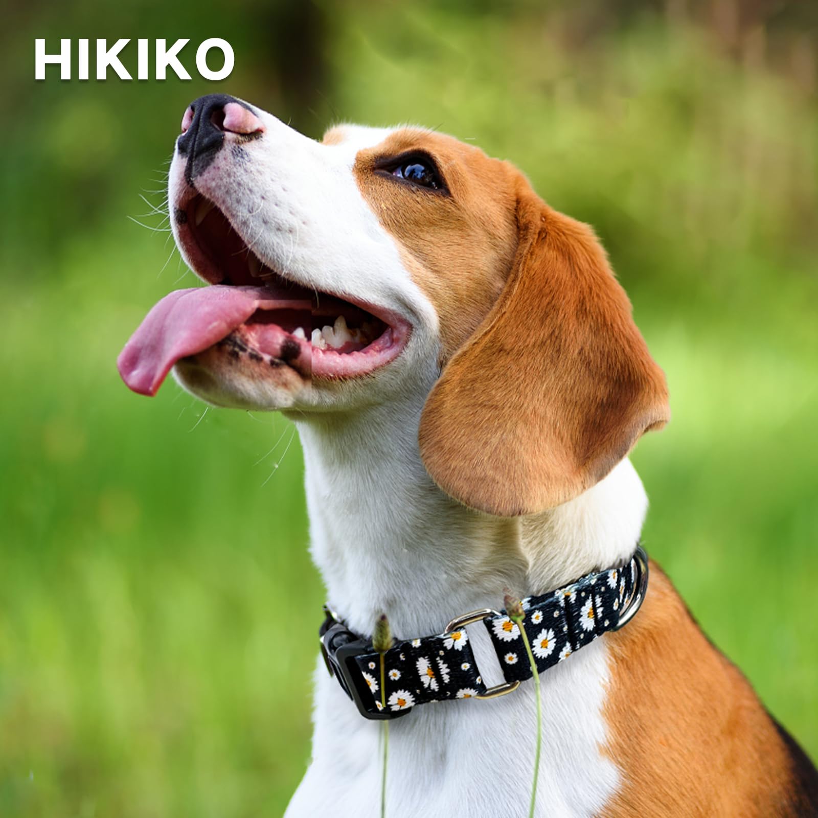 Hikiko Martingale Collar For Dogs With Buckle For Small Medium Large Dogs Soft Nylon Daisy Dog Collars Walking Training(Pure Dai