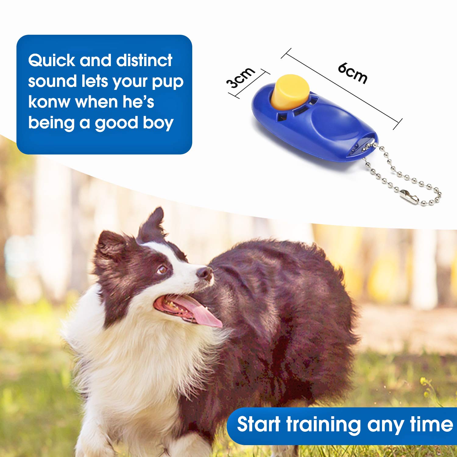 Baapet 15 Ft 20 Ft 30 Ft 50 Ft 100 Ft Long Dog Training Leash For Dog Training, Play, Camping, Or Backyard Lead With Training Clickers For Small, Medium And Large Dogs Or Cats (30 Feet, Blue)