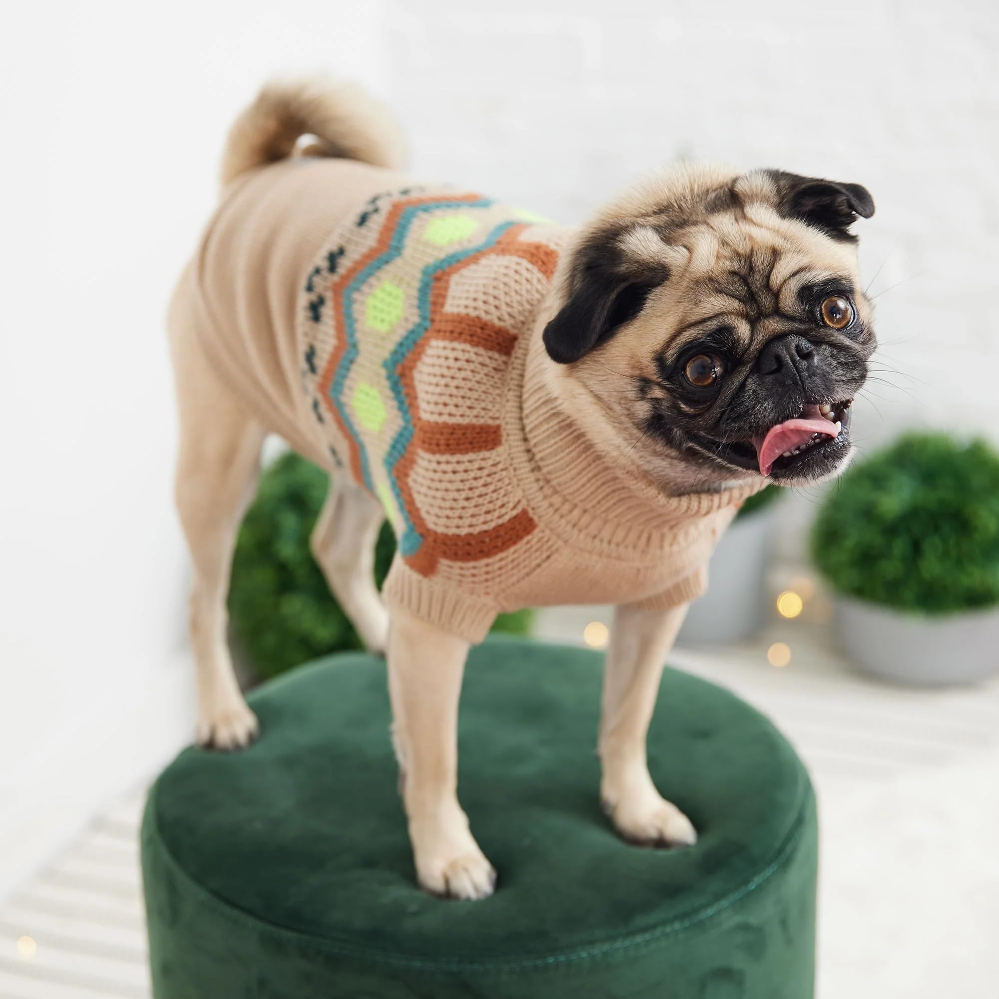 Gf Pet Heritage Sweater Dog Pullover – Classic Ribbed Knit Sweater For Dogs | Soft & Warm Acrylic | Timeless Design | Small, Medium, Large Pets – Sand, S