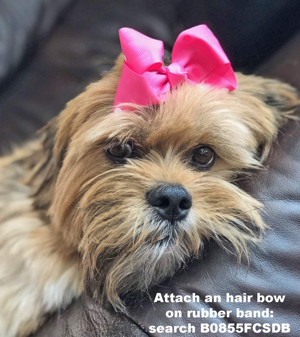 Pet Supply 200 Pack Tiny Rubber Bands Dog Hair Ties.3/8'' Ivory Hair Rubber Bands For Dog Bows, Mini Rubber Bands For Hair,Dog G