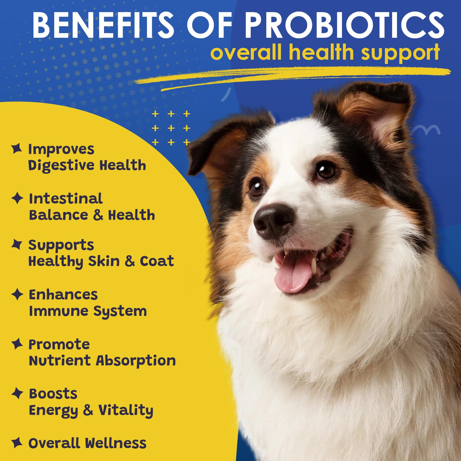 Probiotics for Dogs - Dog Probiotics for Digestive Health, Prebiotics, Enzymes, Fiber, and Omega-3 with Vitamins to Promote Inte
