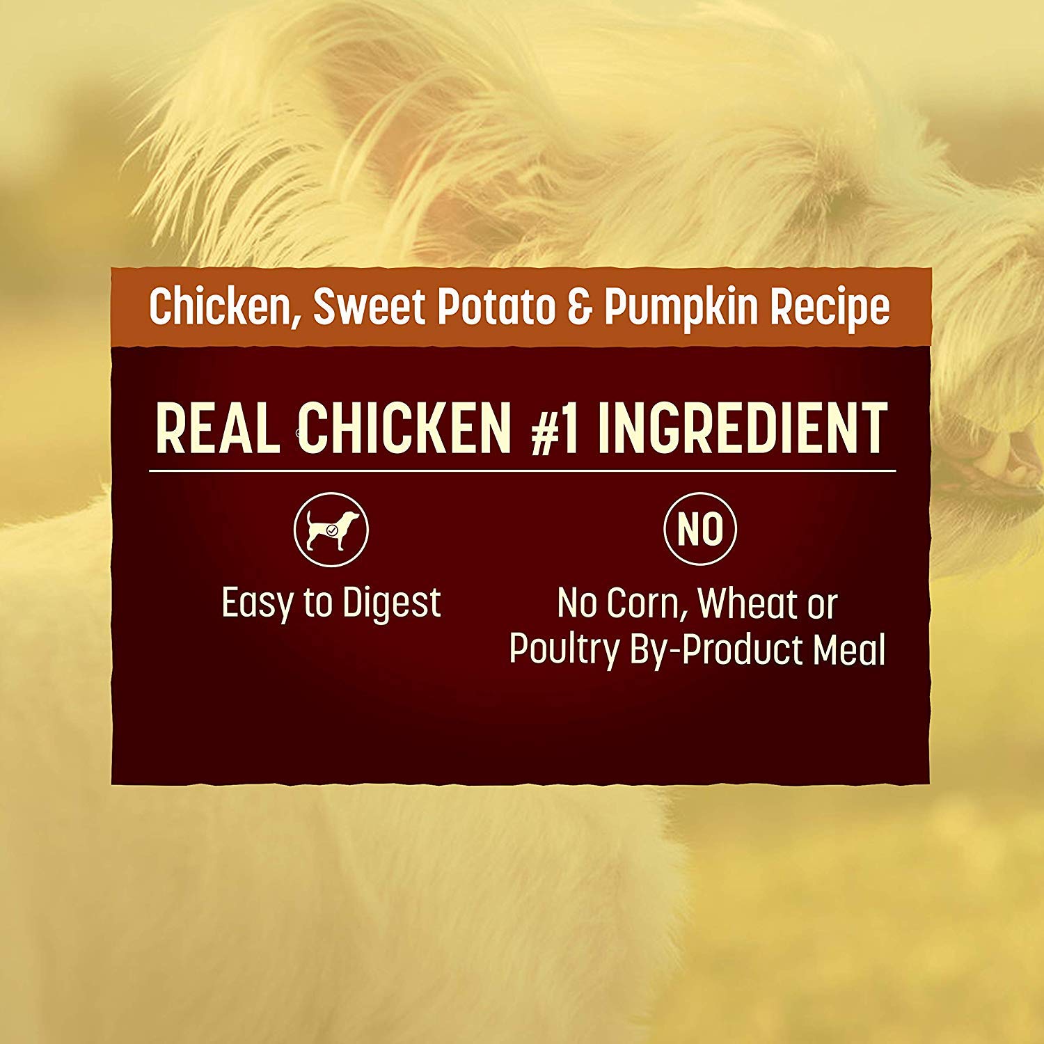 Natures Recipe Grain Free Small Breed Dry Dog Food, Chicken, Sweet Potato & Pumpkin Recipe, 4 lb. Bag